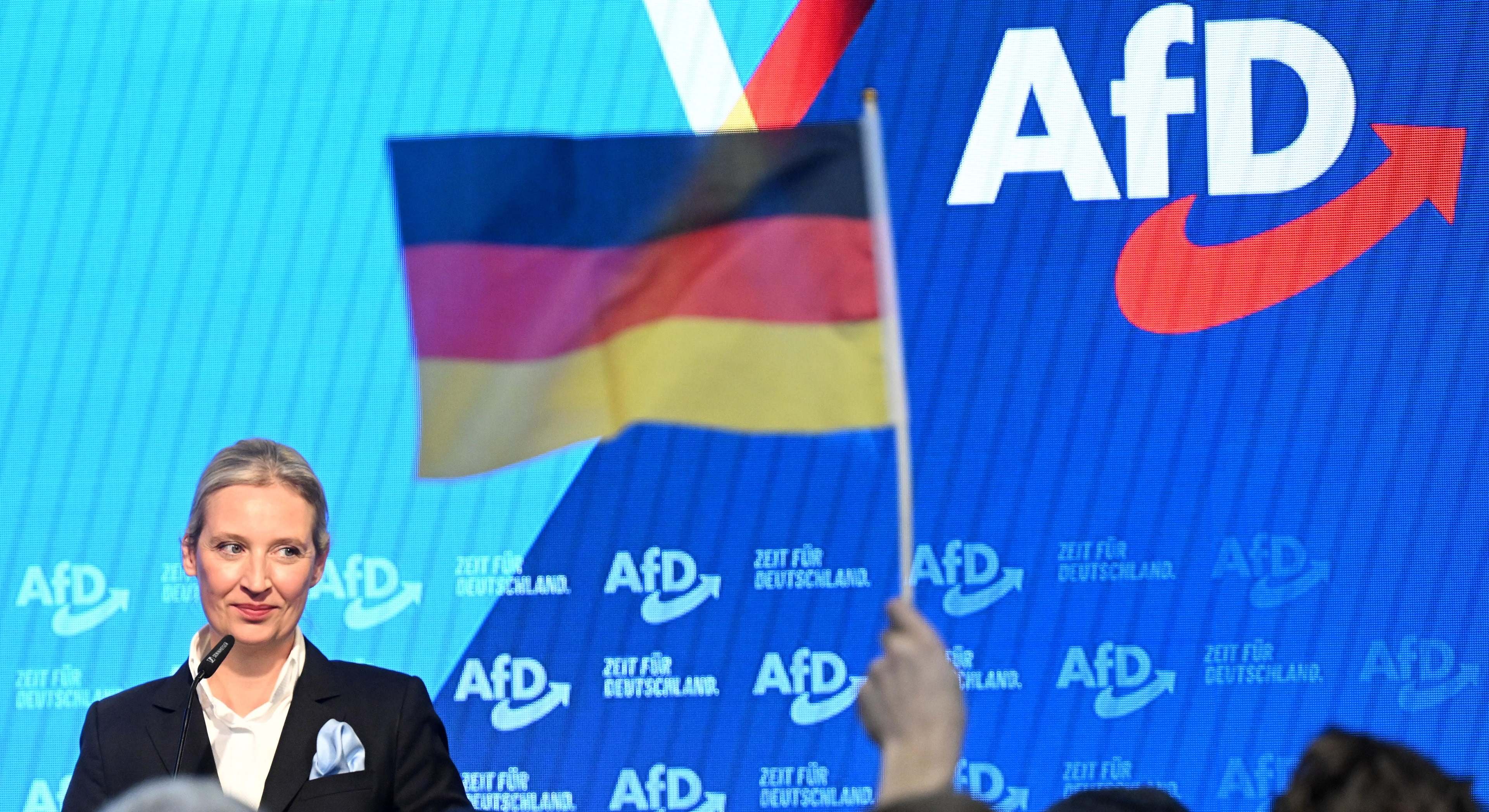 AfD (Alternativa para Alemania).