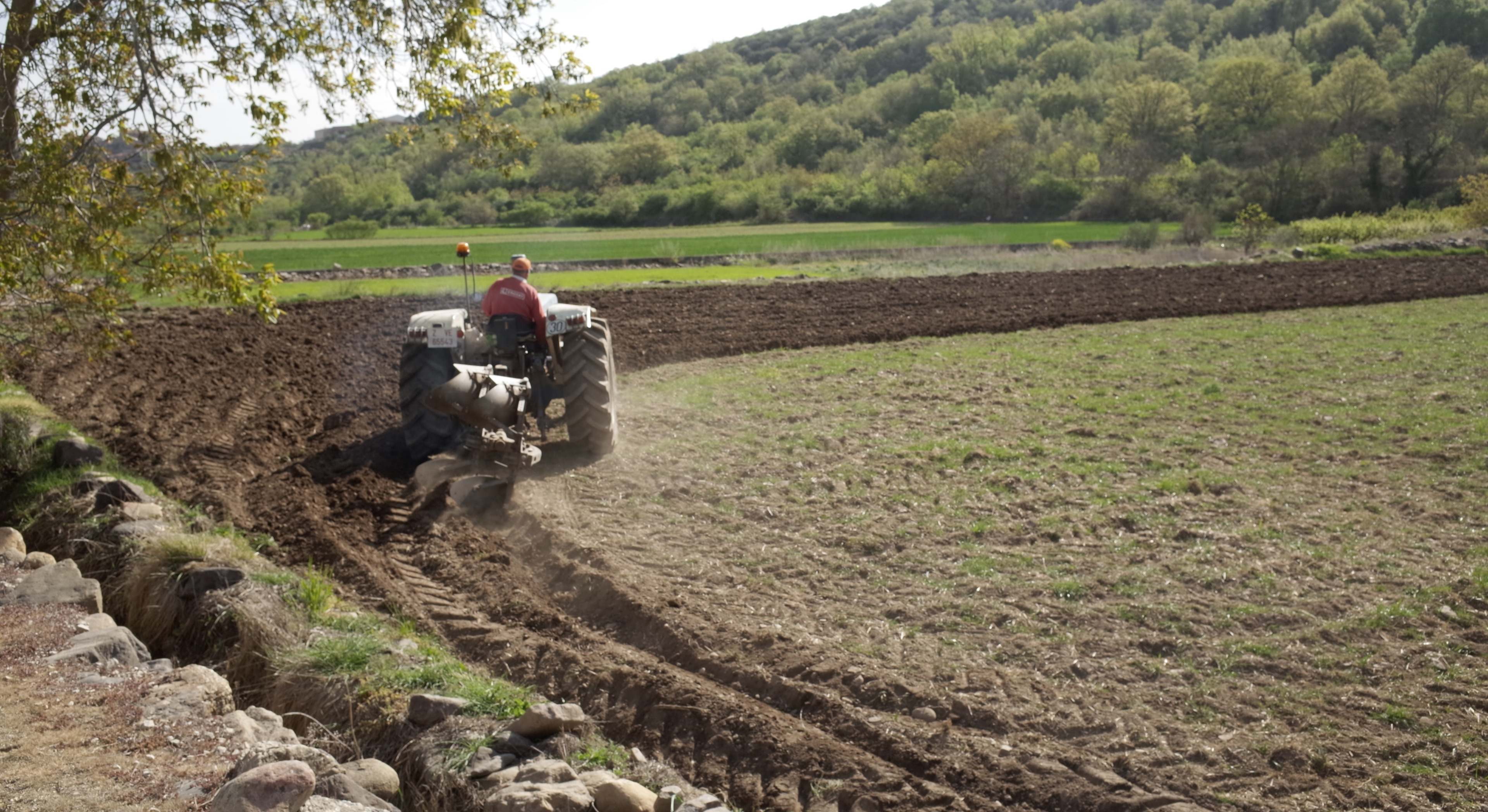 agricultura familiar