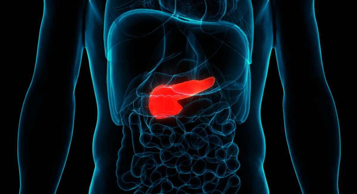 La vitamina que aporta beneficios como tratamiento sobre el cáncer de ...