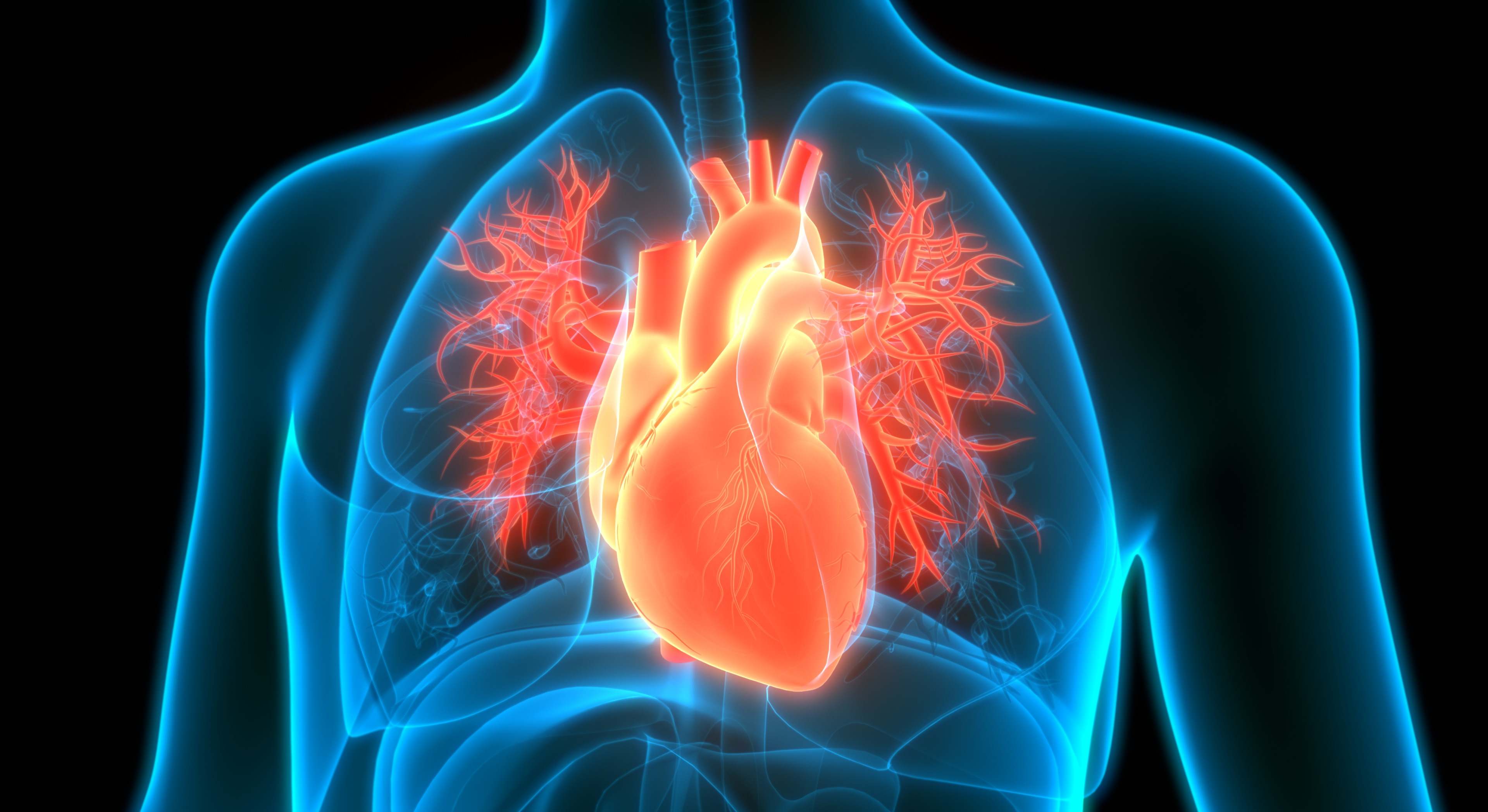 Corazón
