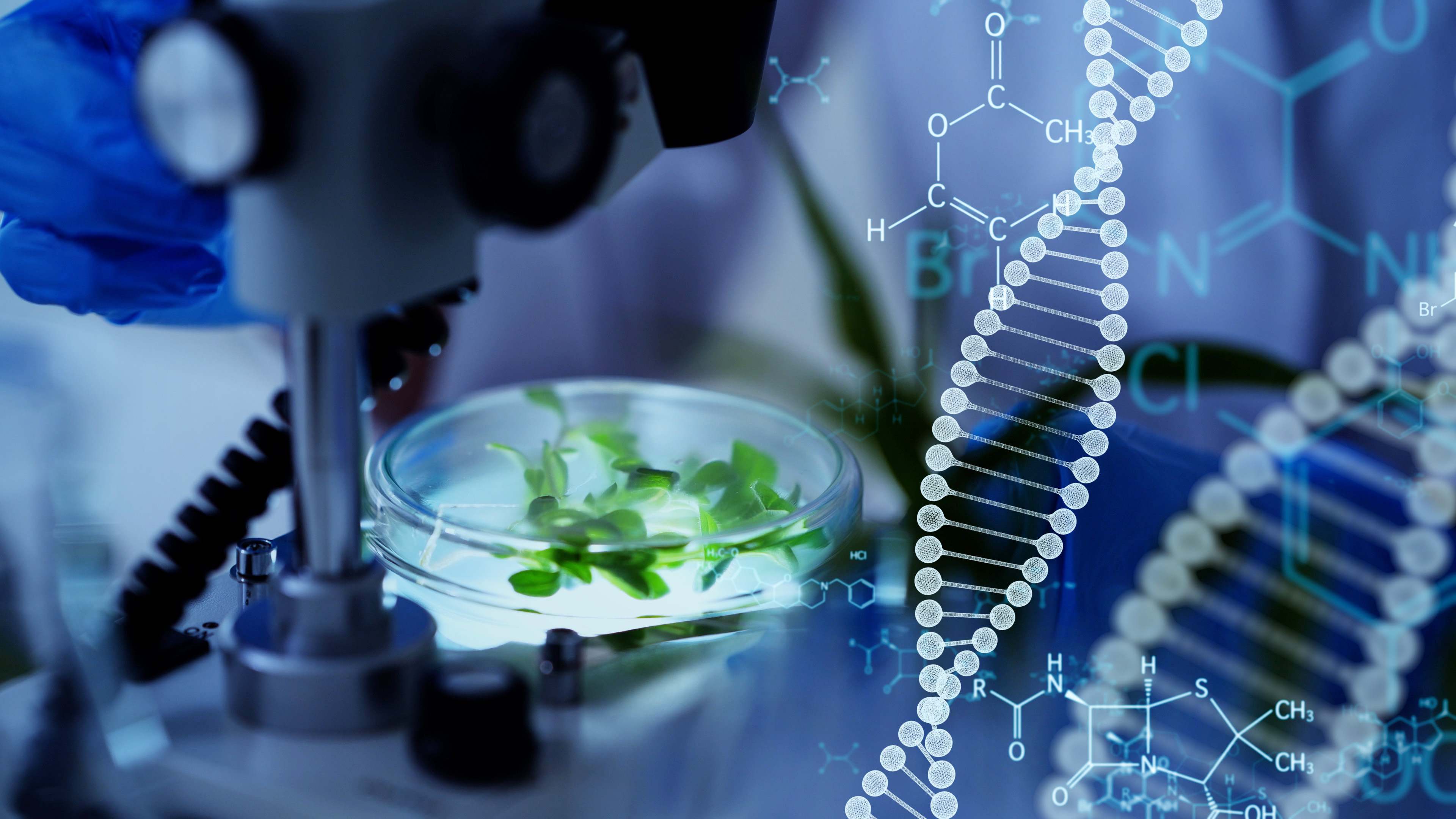 genetica