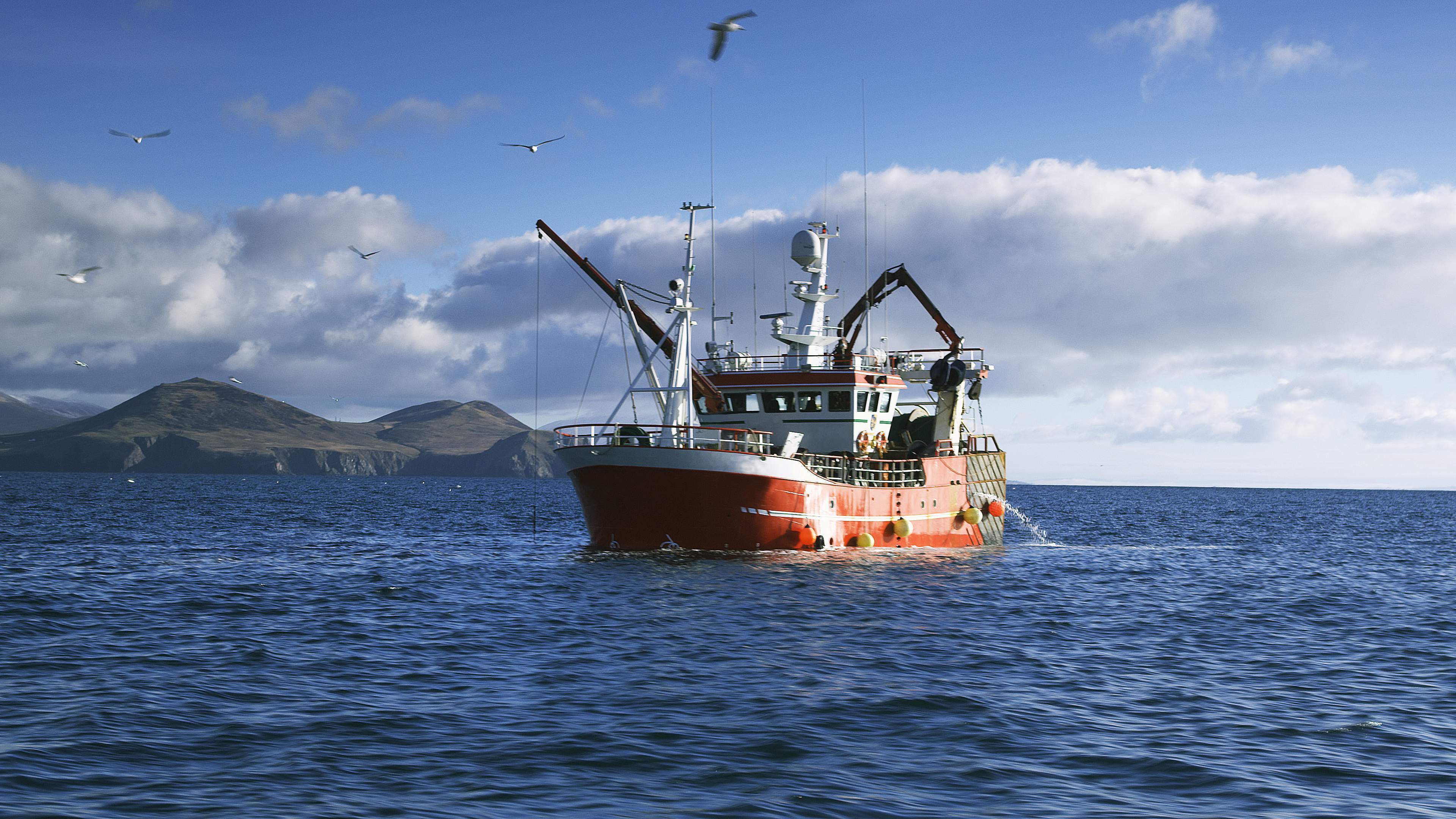 barco-pesquero.jpg