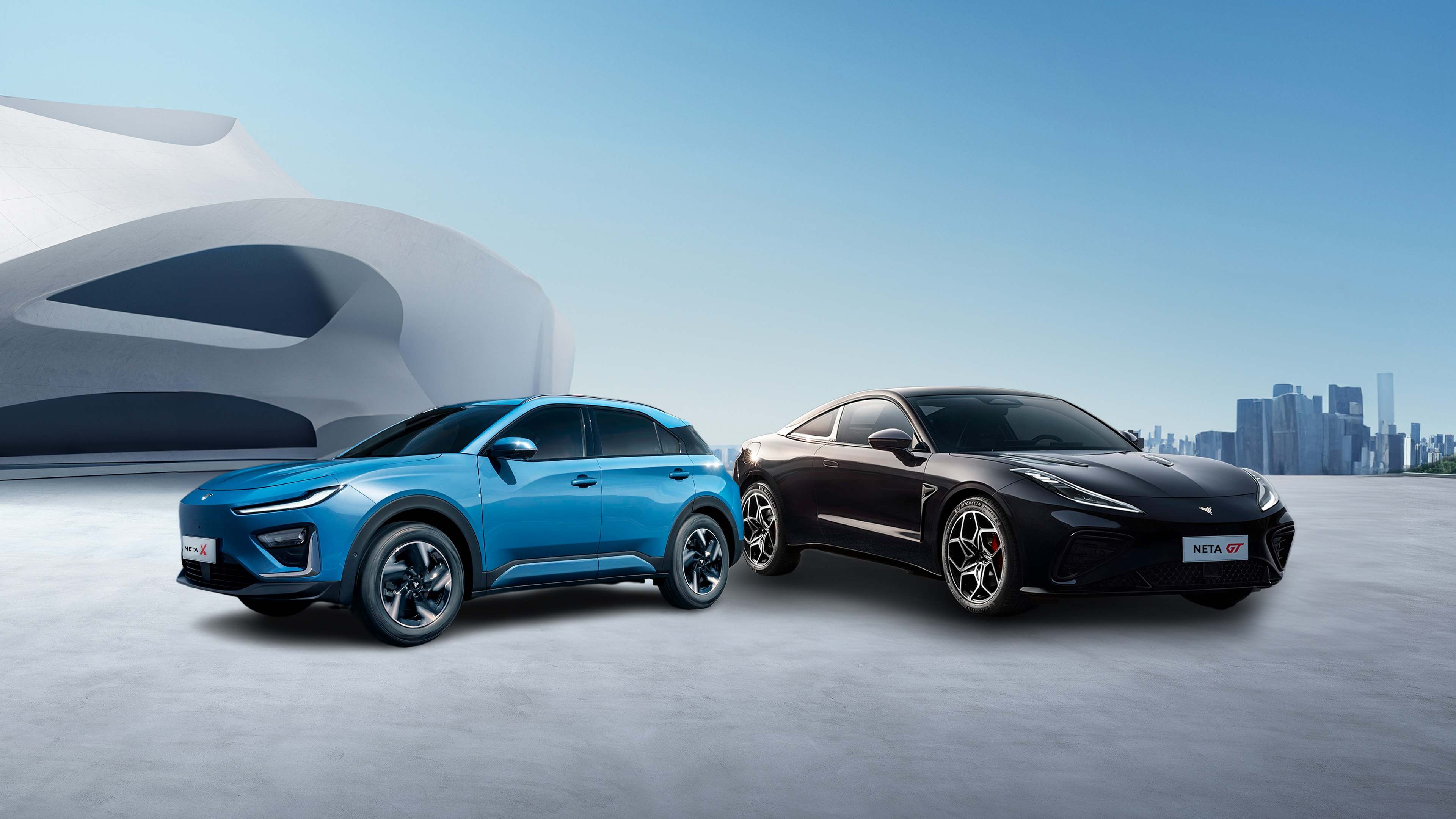 Neta Auto coches