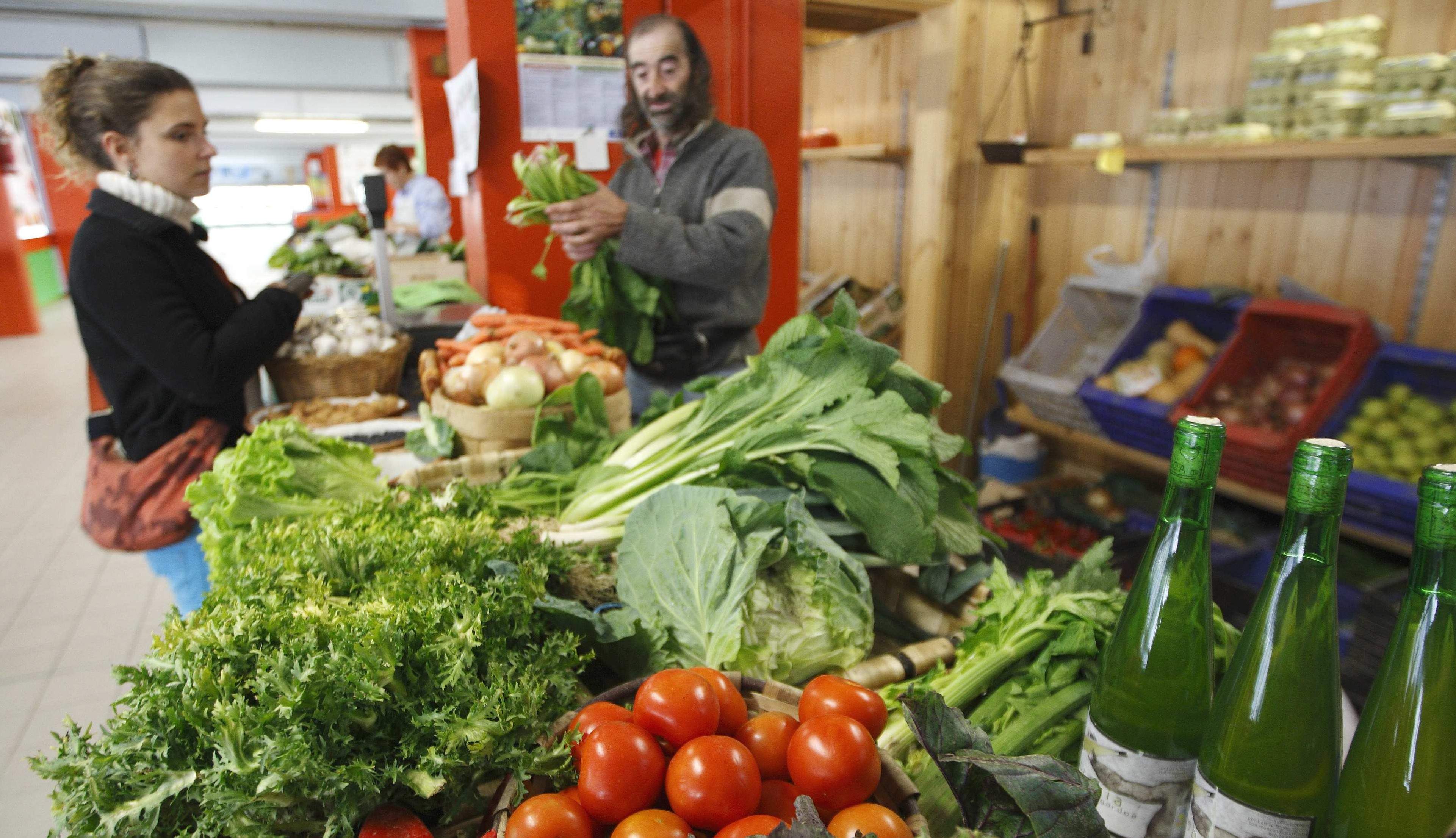 alimentos-ecologicos.jpg