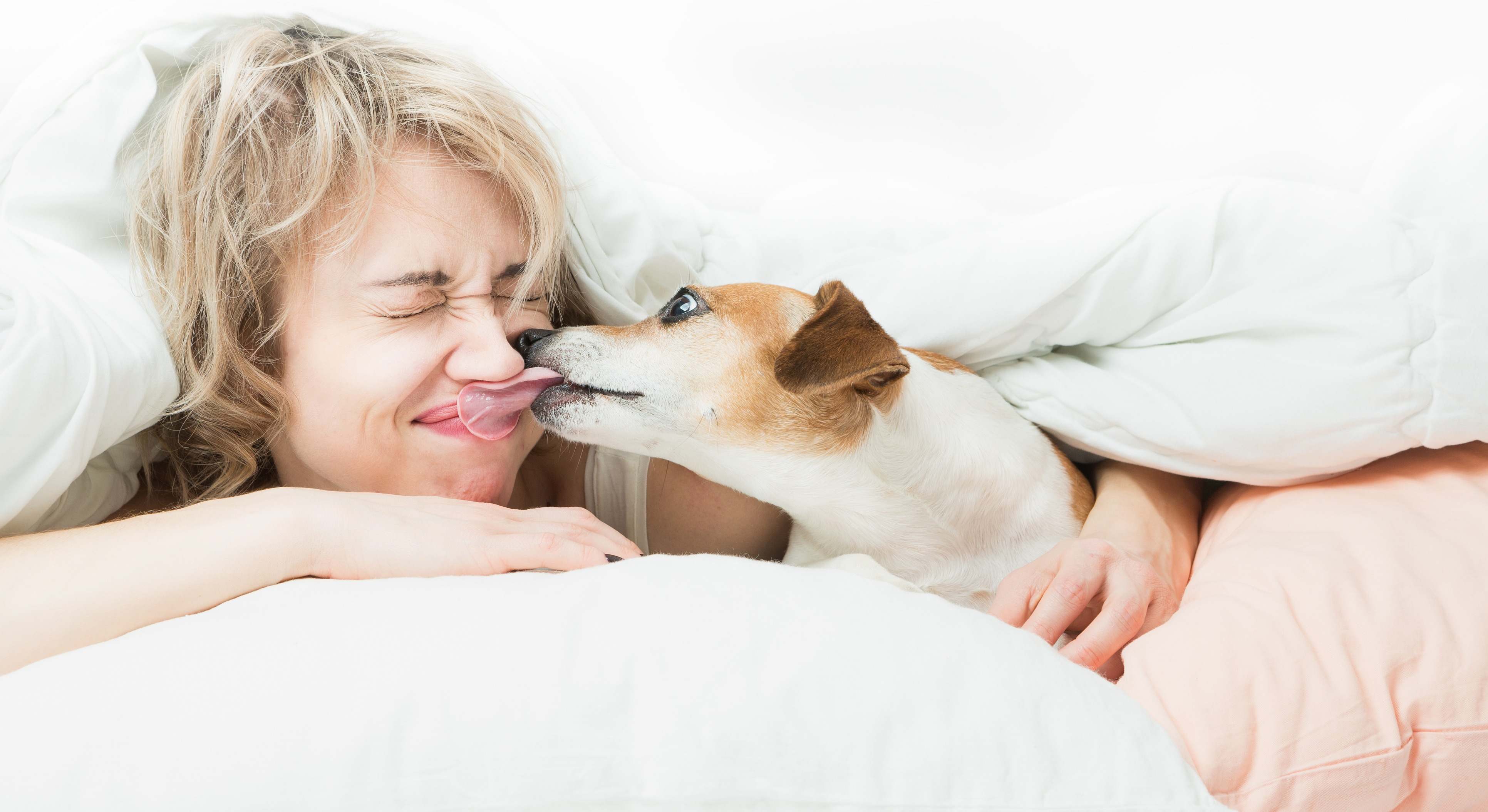 Un perro junto a su dueña. / Foto: iStock