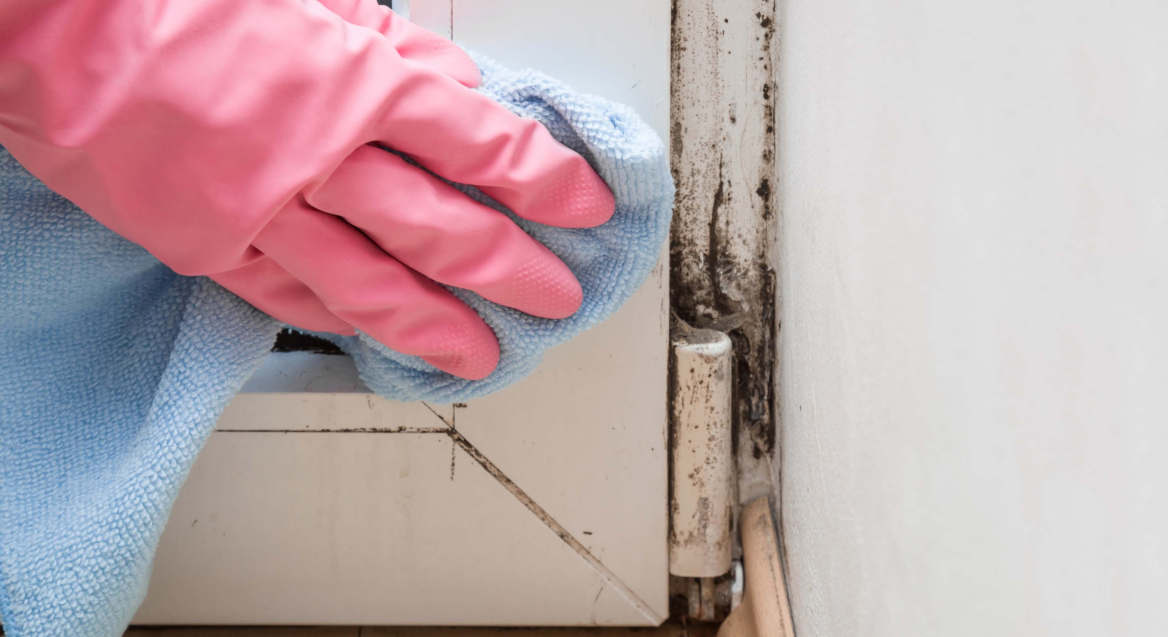 Una persona limpia el moho de la ventana. / Foto: iStock