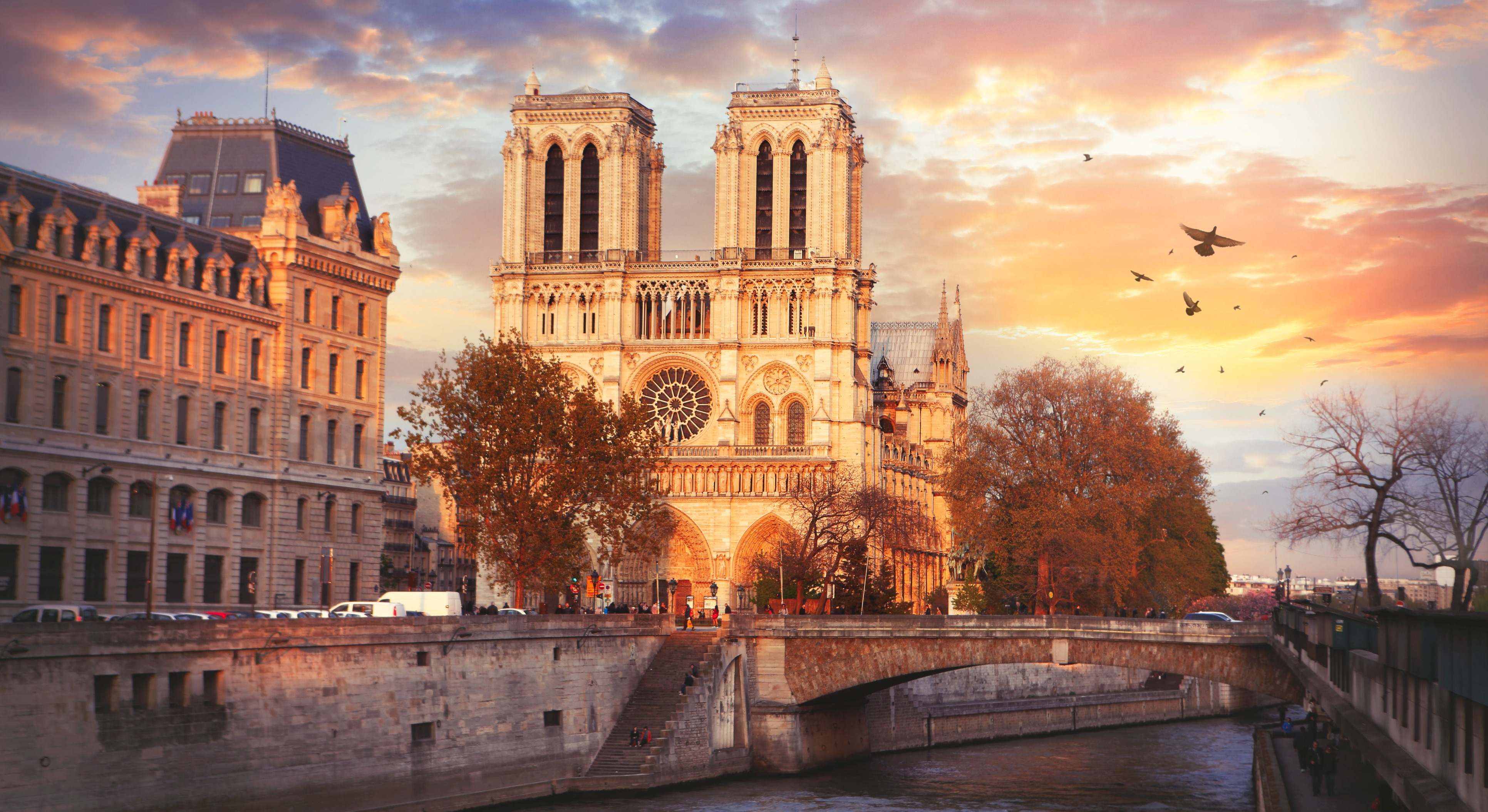 Catedral de Notre Dame en París. / Foto: iStock