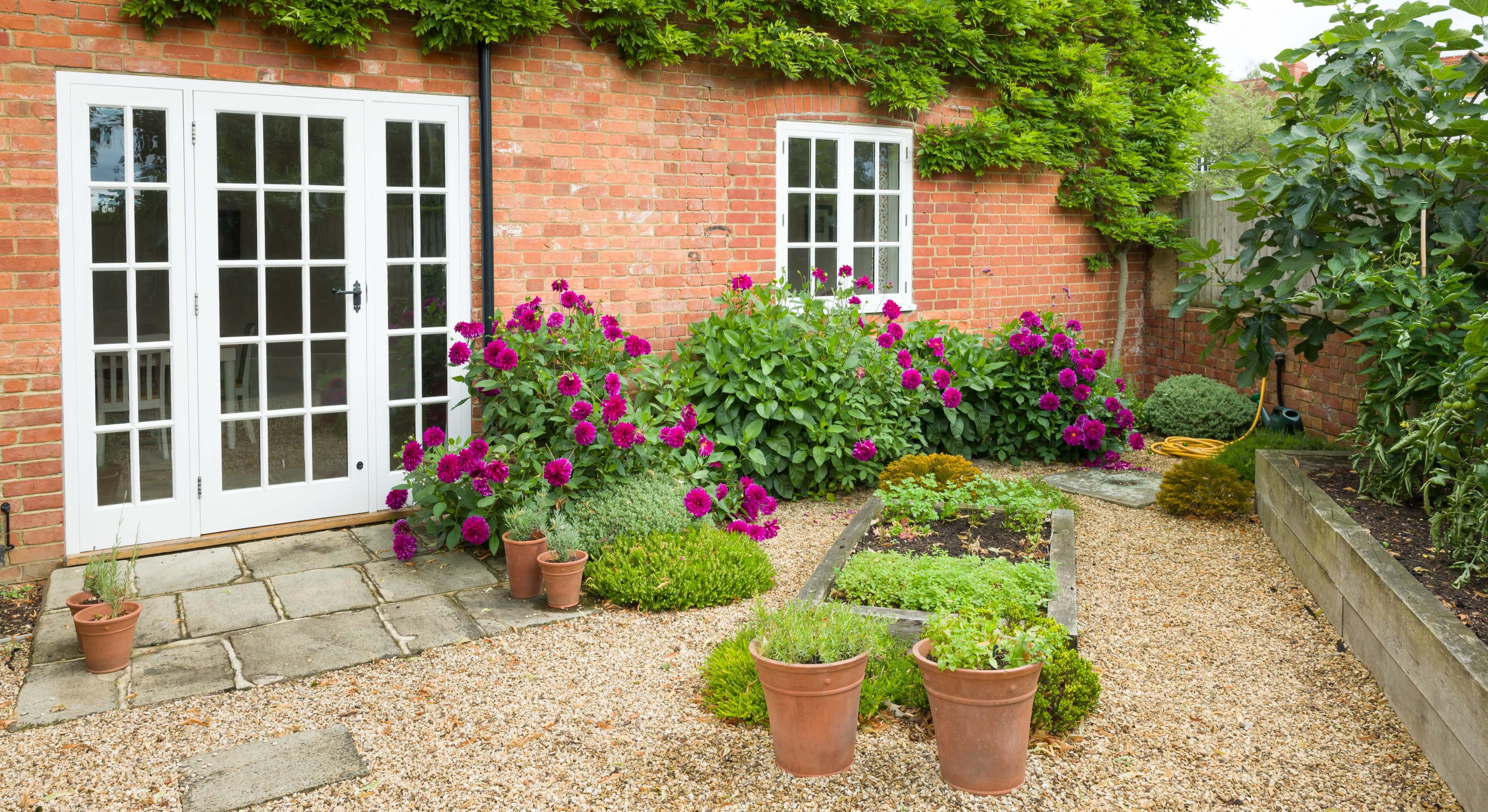 Varias macetas con plantas de exterior en el jardín de una casa. / Foto: iStock