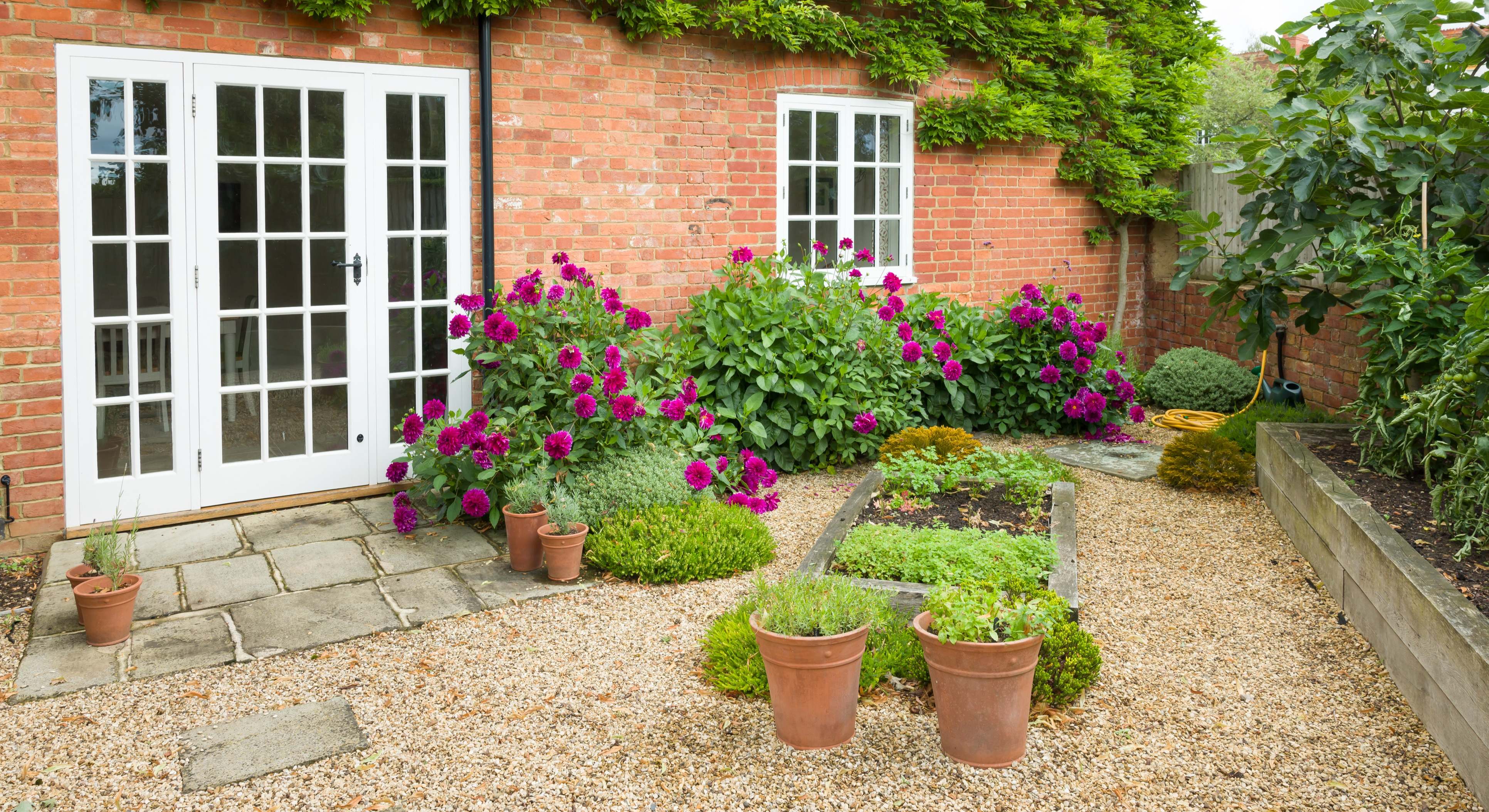 Plantas en el exterior de la vivienda. / Foto: iStock