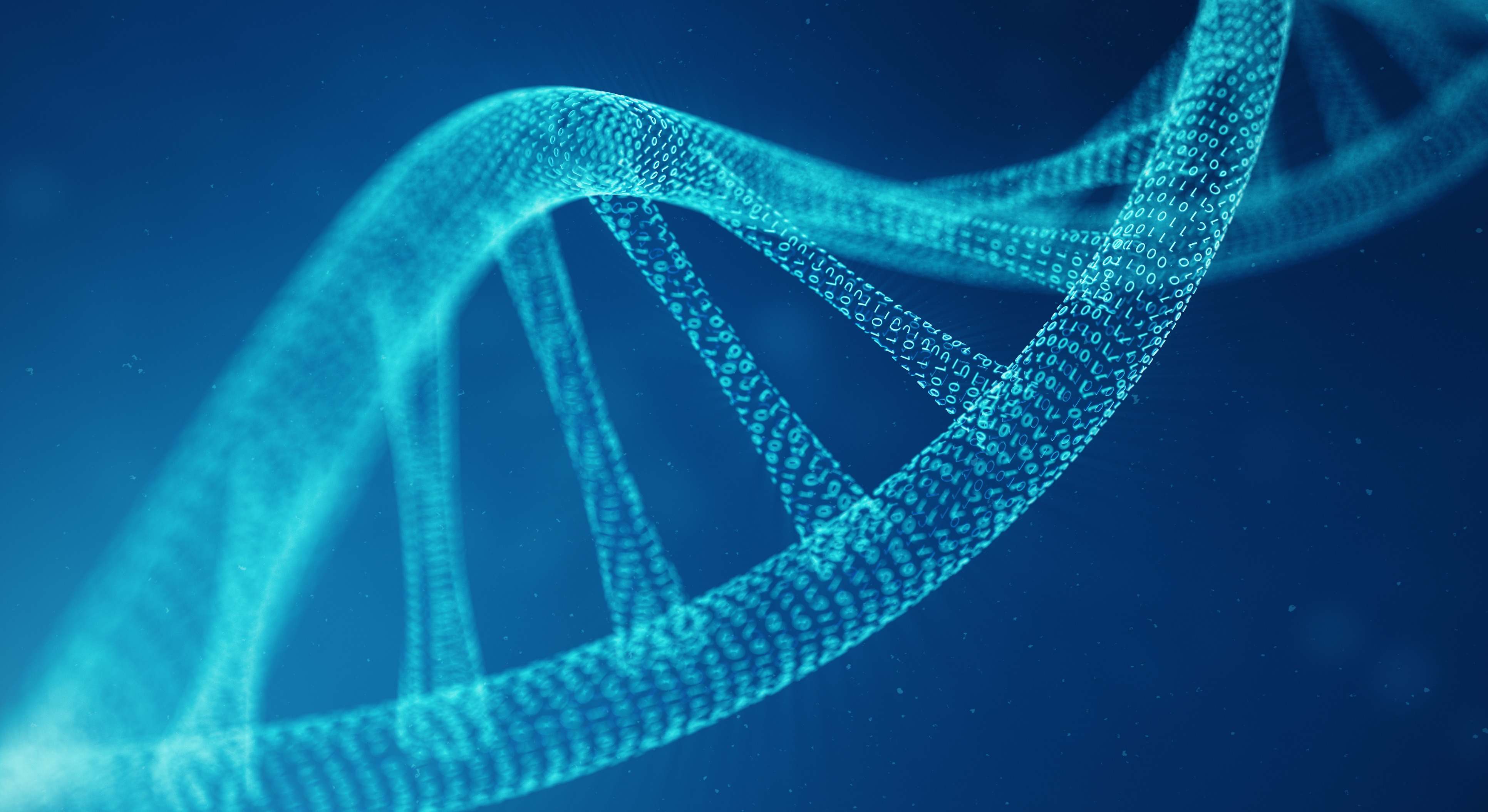 El 98% del ADN continúa siendo un misterio