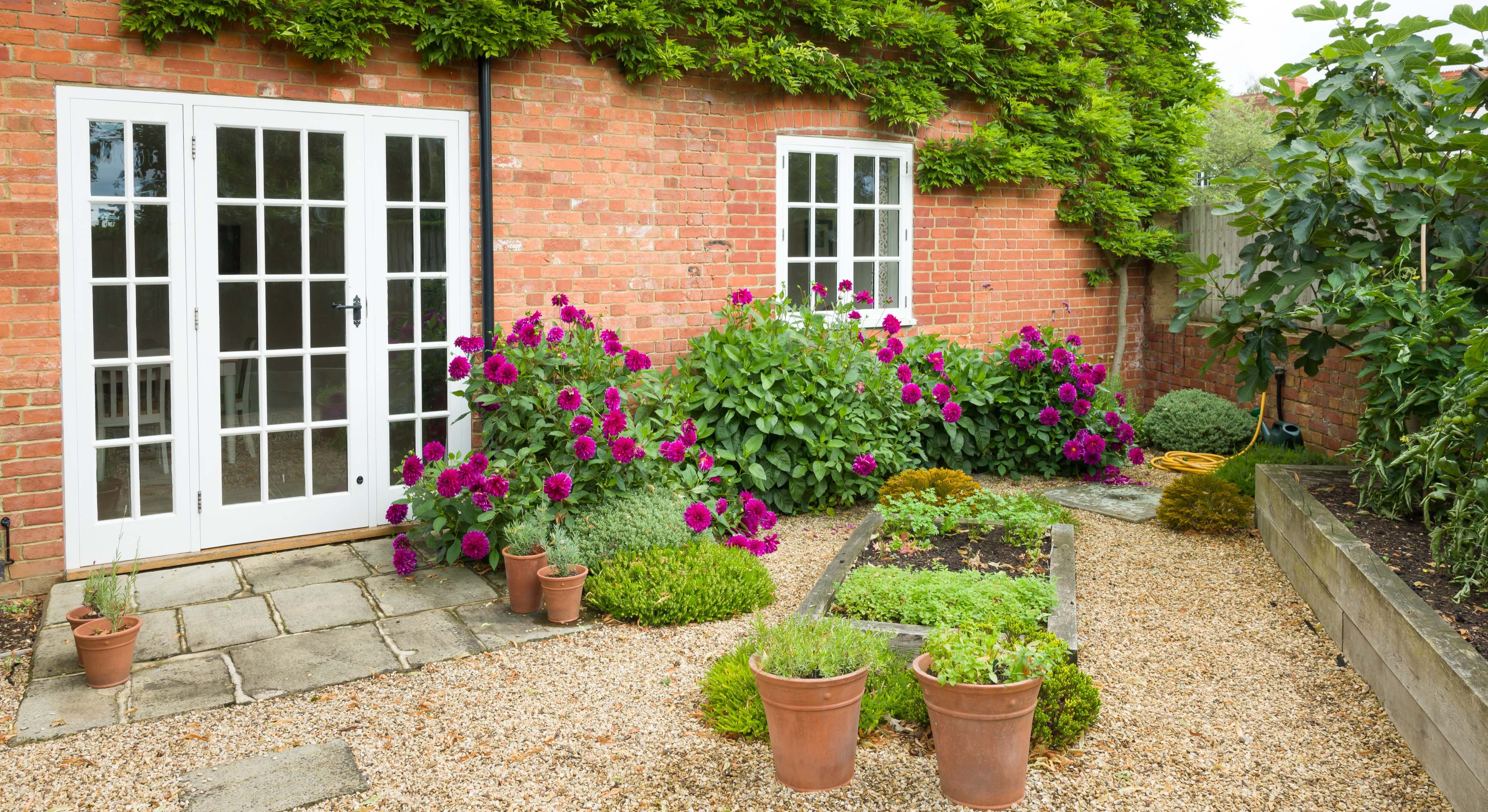 Jardín exterior de una vivienda con plantas. / Foto: Dreamstime