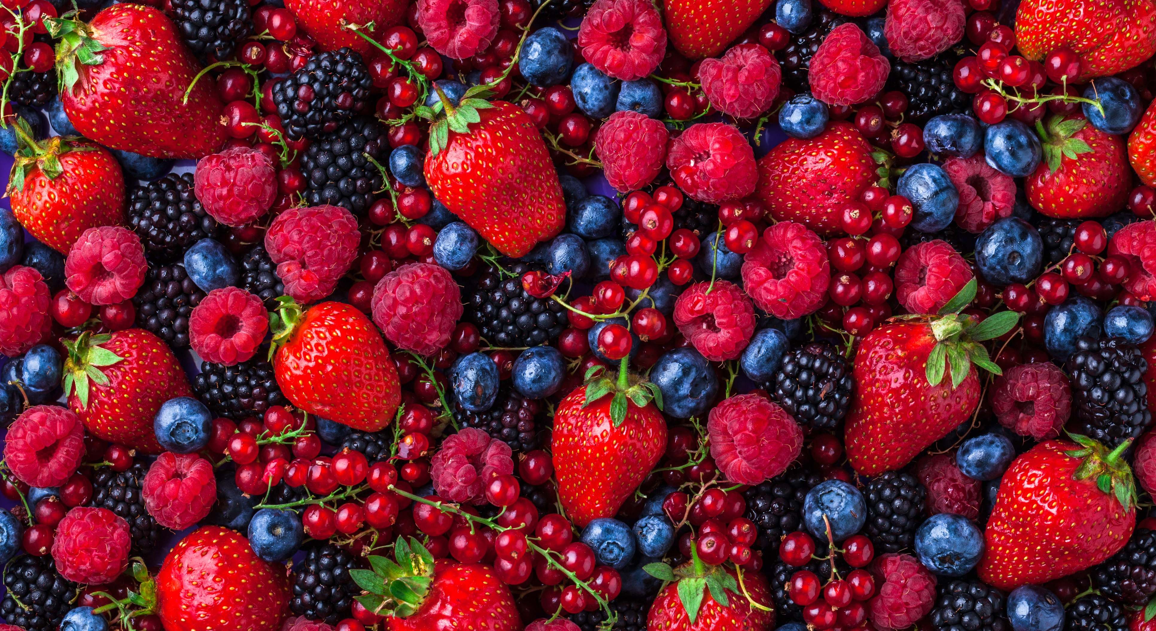 Frutos rojos