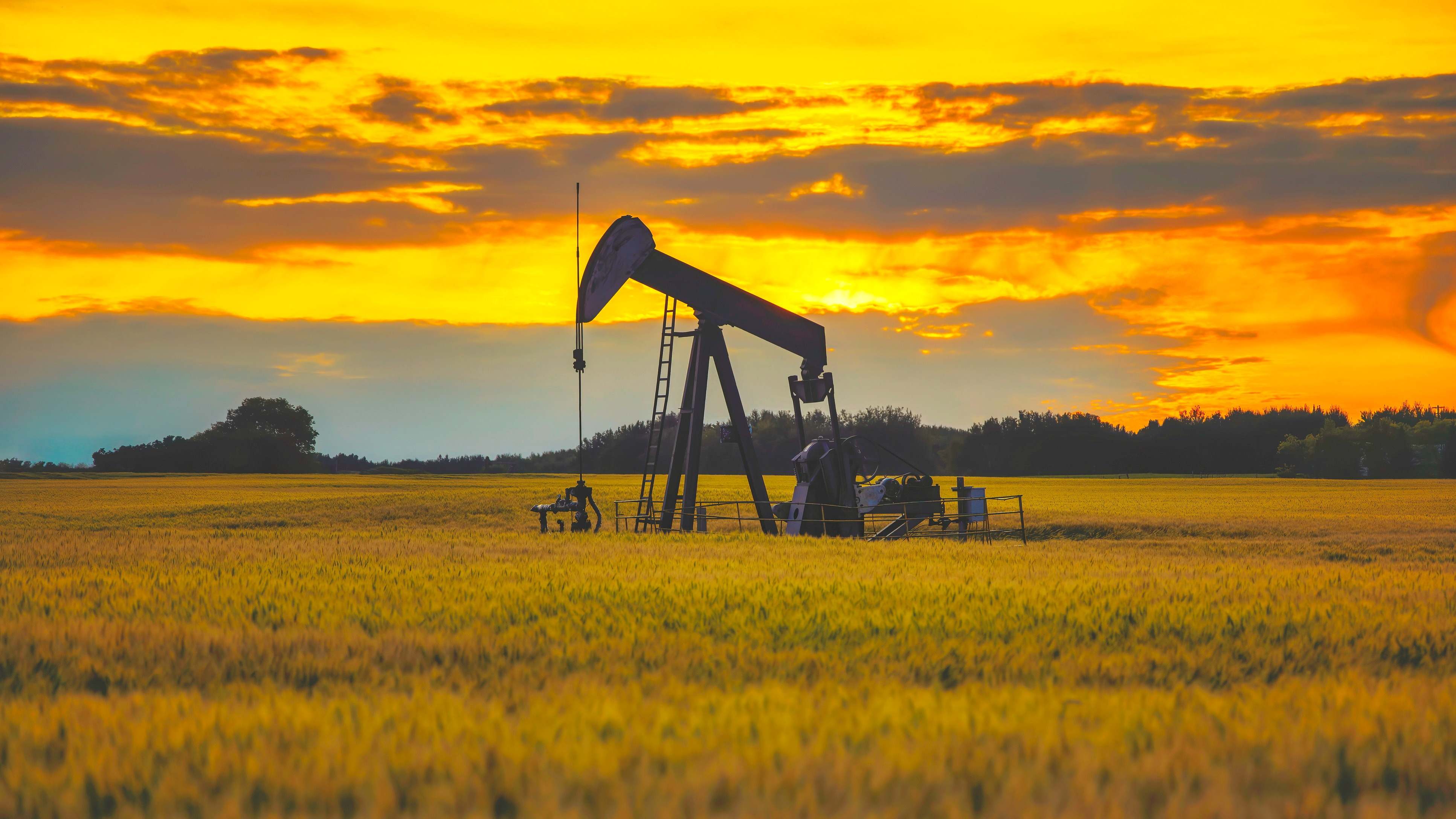 petróleo producción opep martillo bombeo