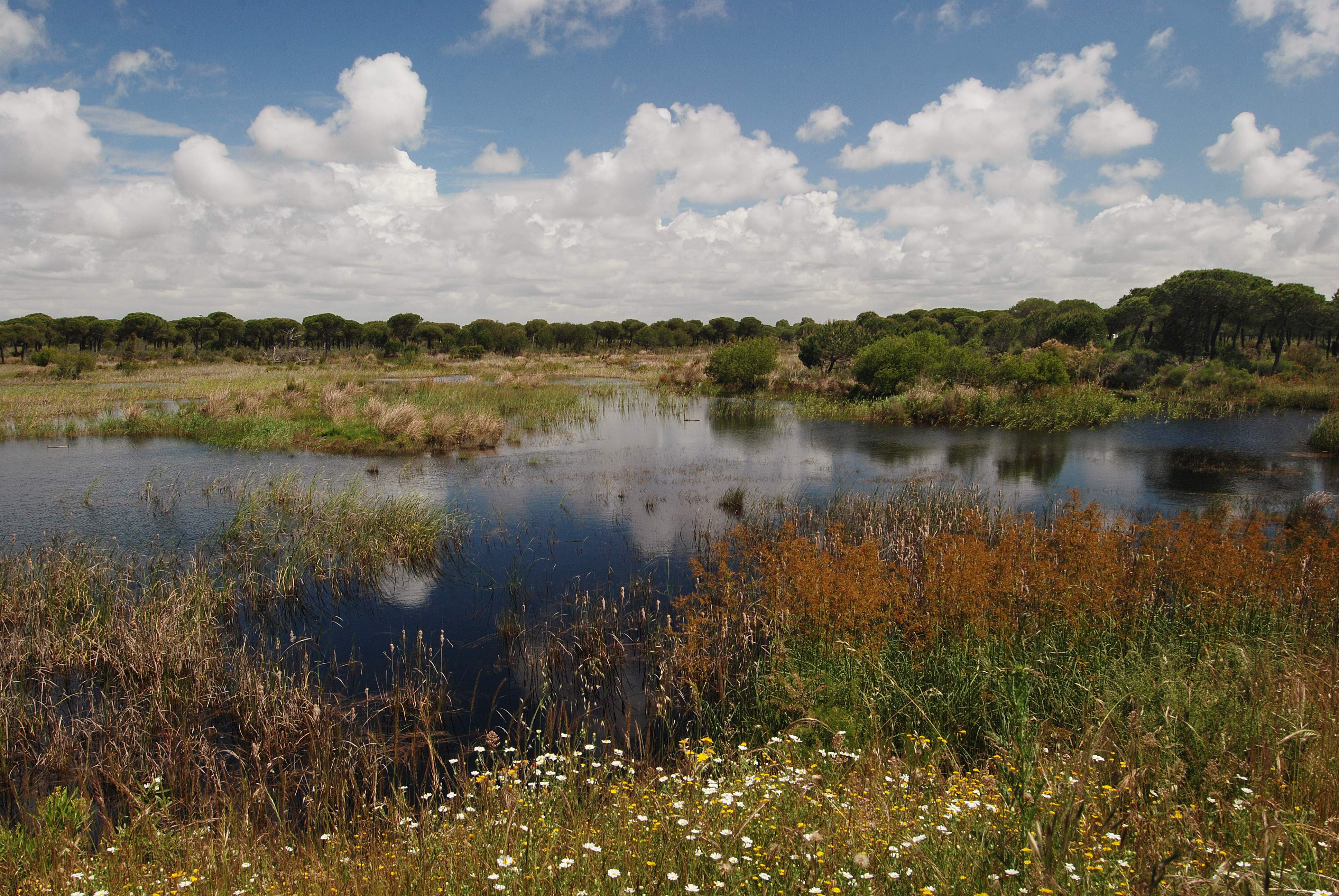 donana-parque-natural.jpg