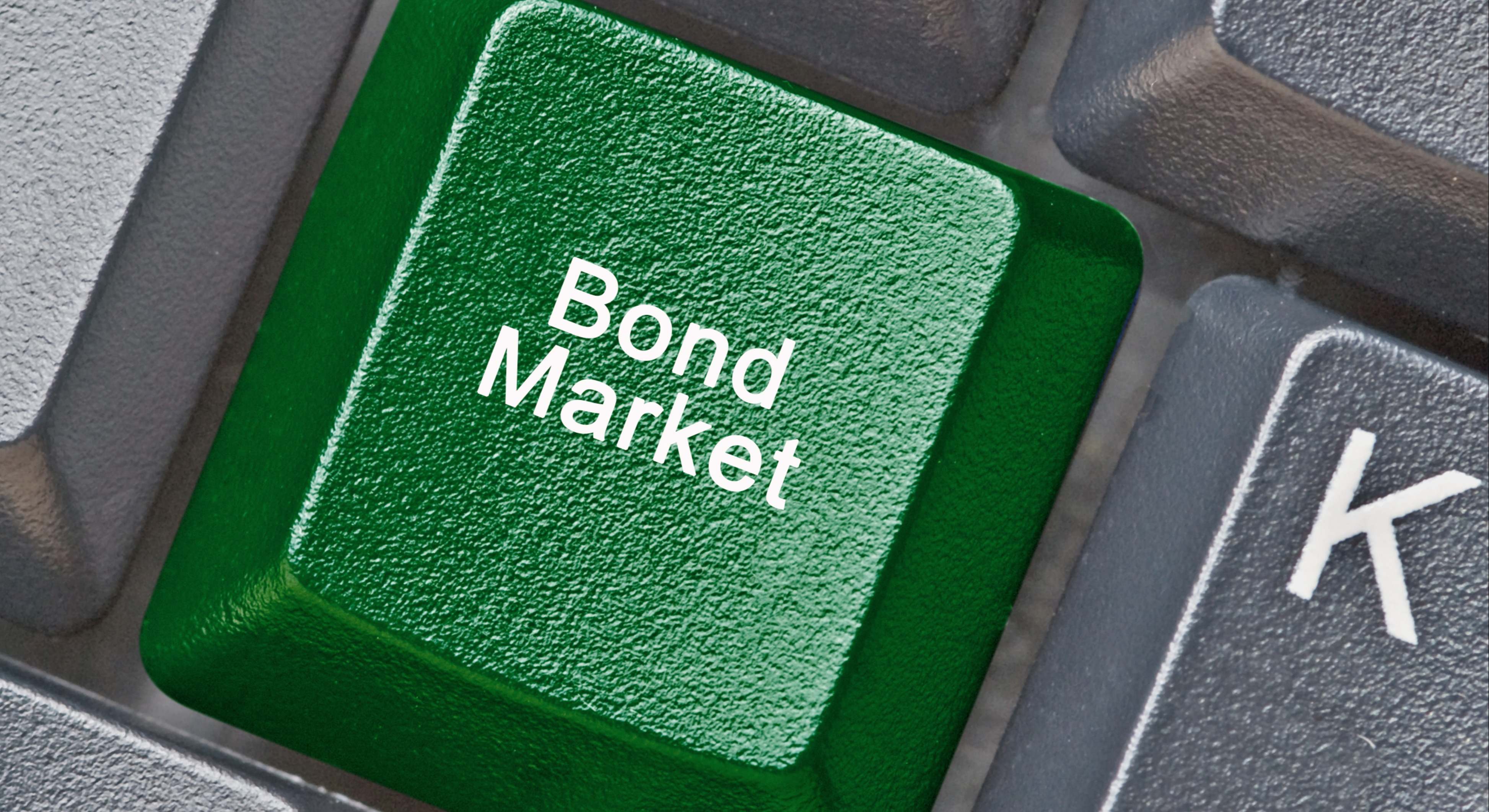 Resumen del mercado de bonos en 2024