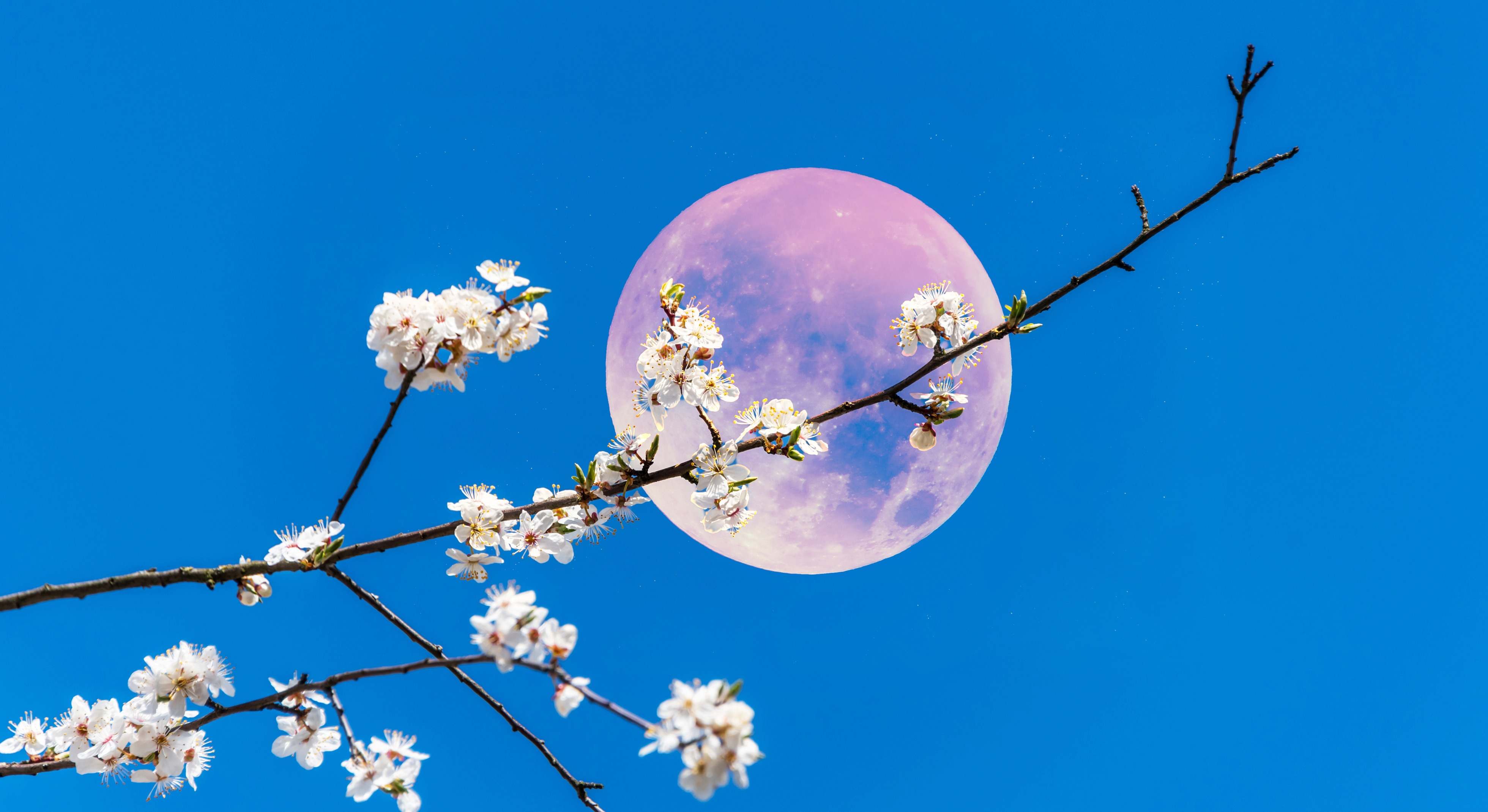Luna llena. / Foto: iStock