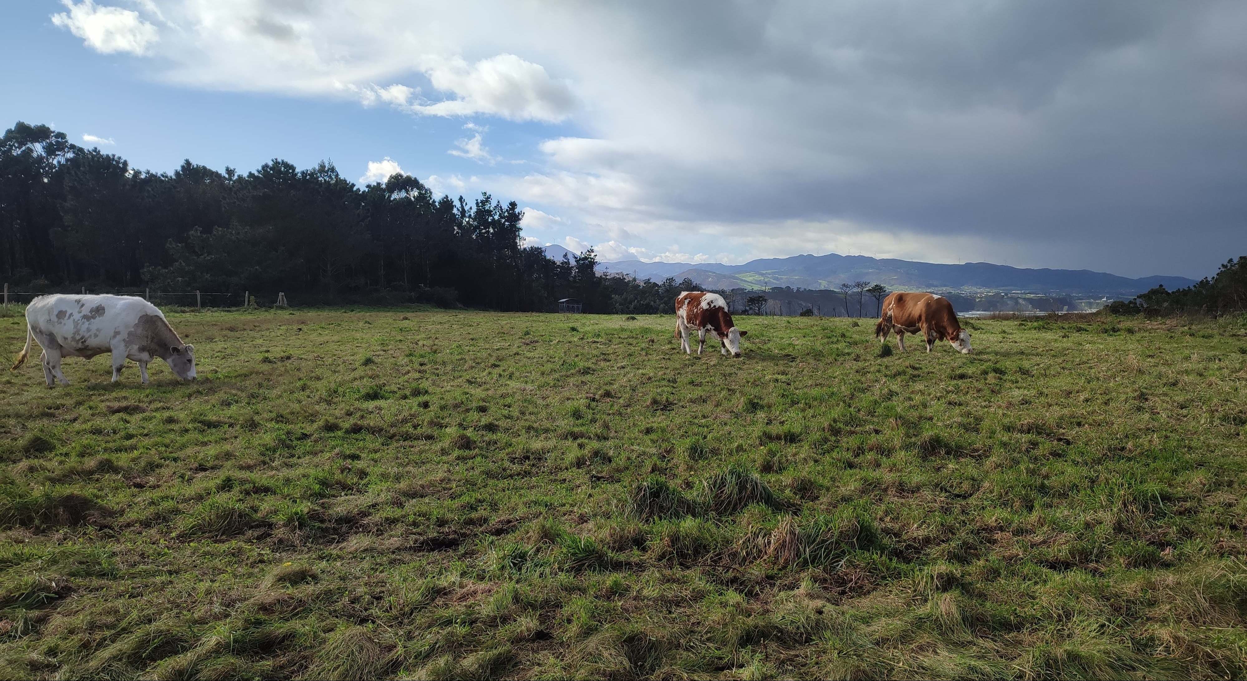 emprender en el medio rural