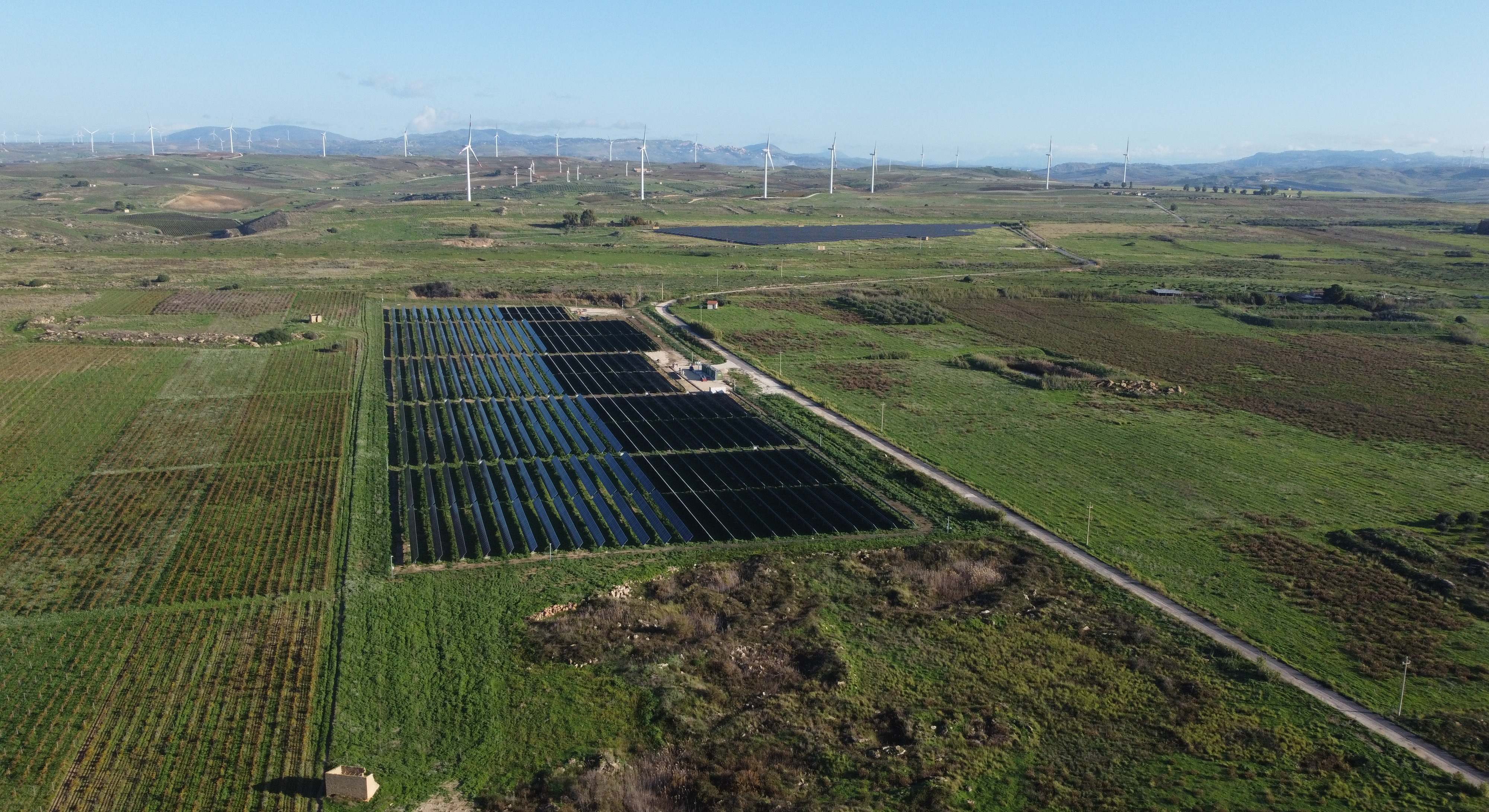 La planta de Asennato en Italia