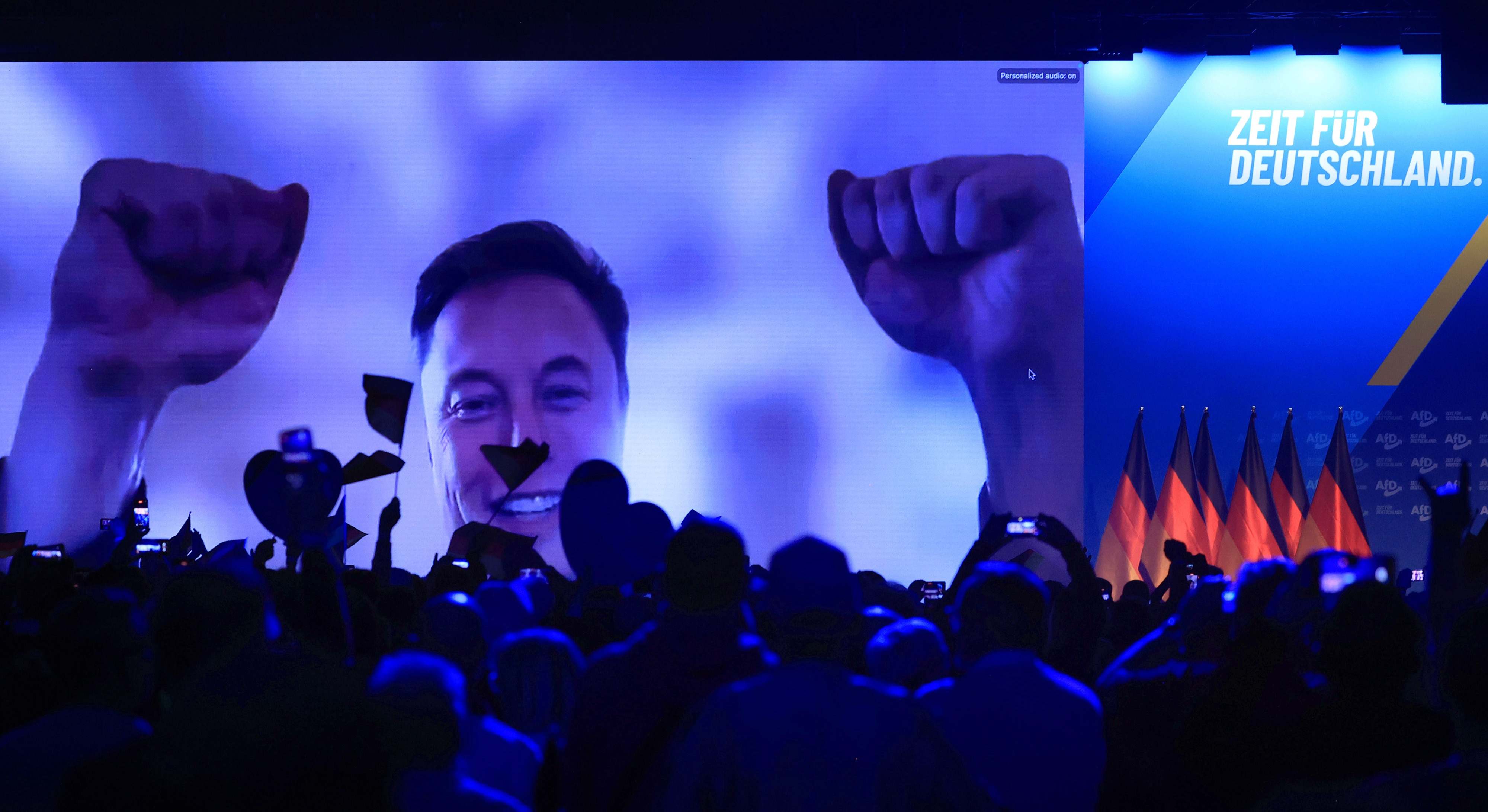 Musk apoya a AfD