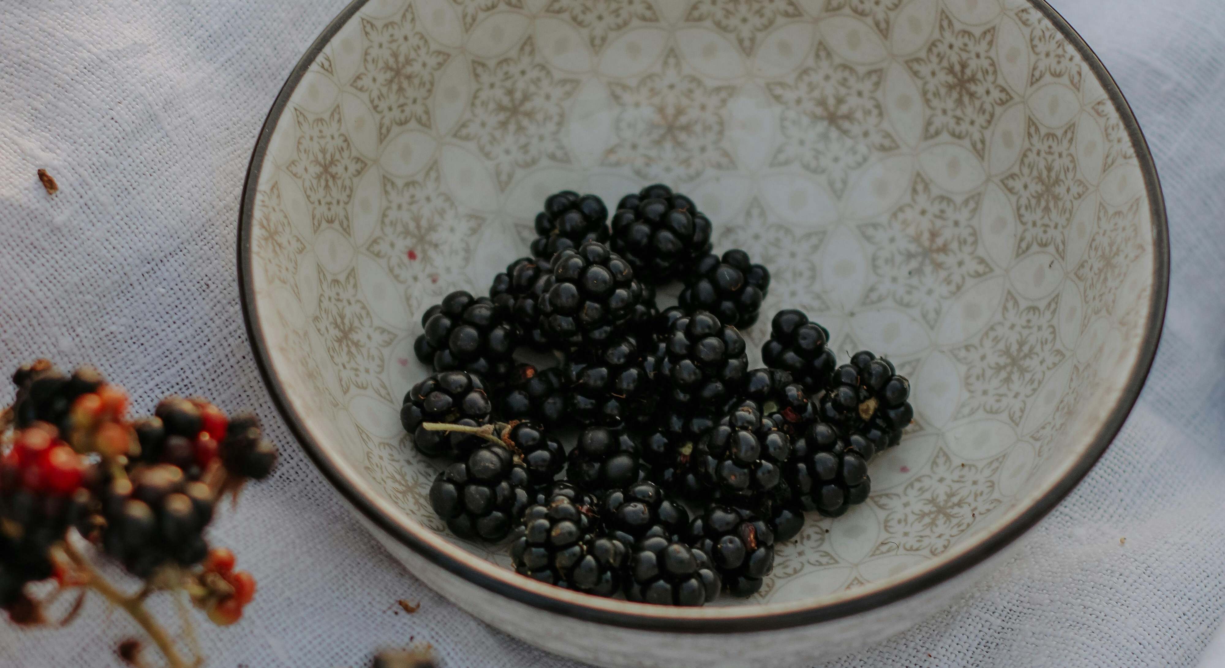 Las moras son frutos silvestres muy nutritivos y refrescantes