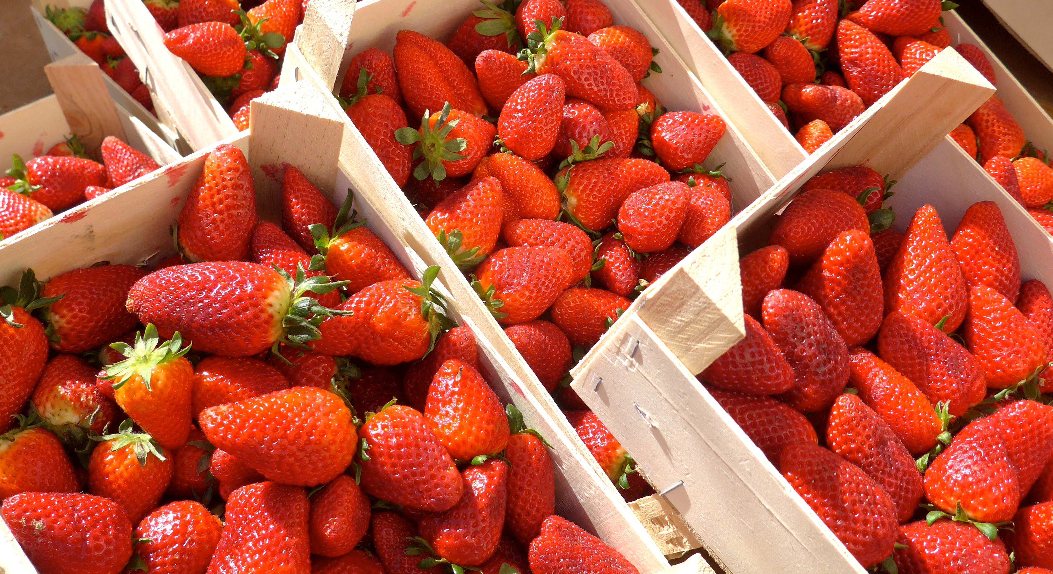 Fresas frescas en cajas de madera