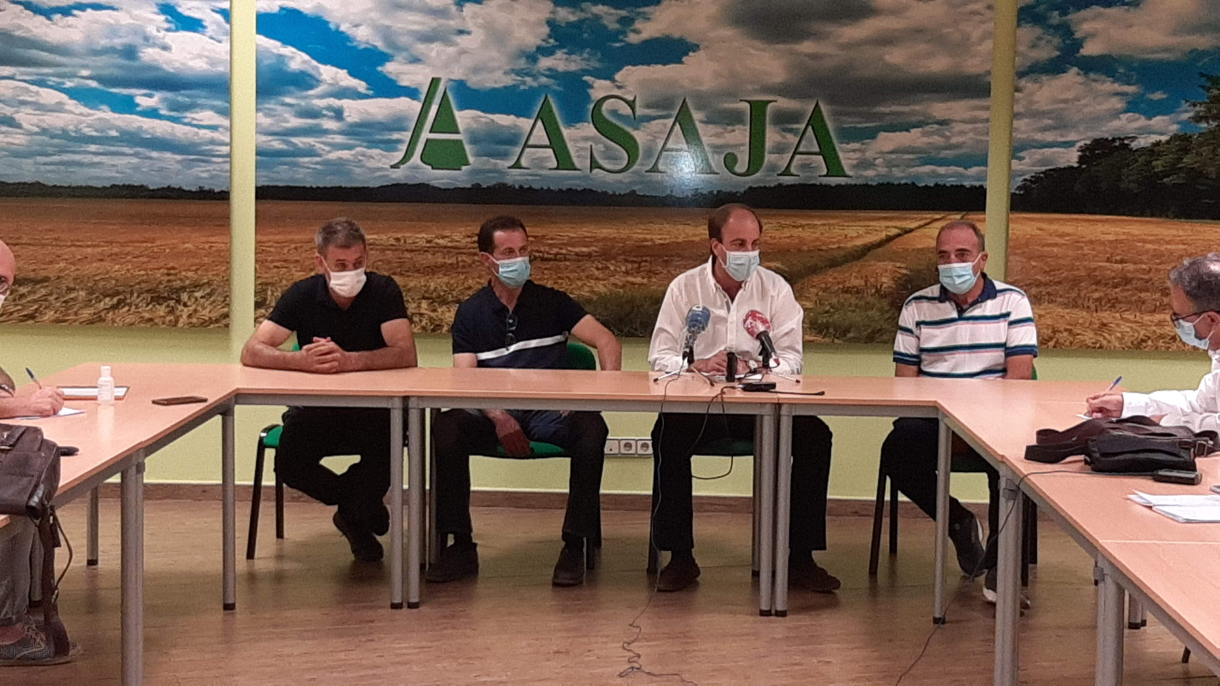 asajaavila.jpg