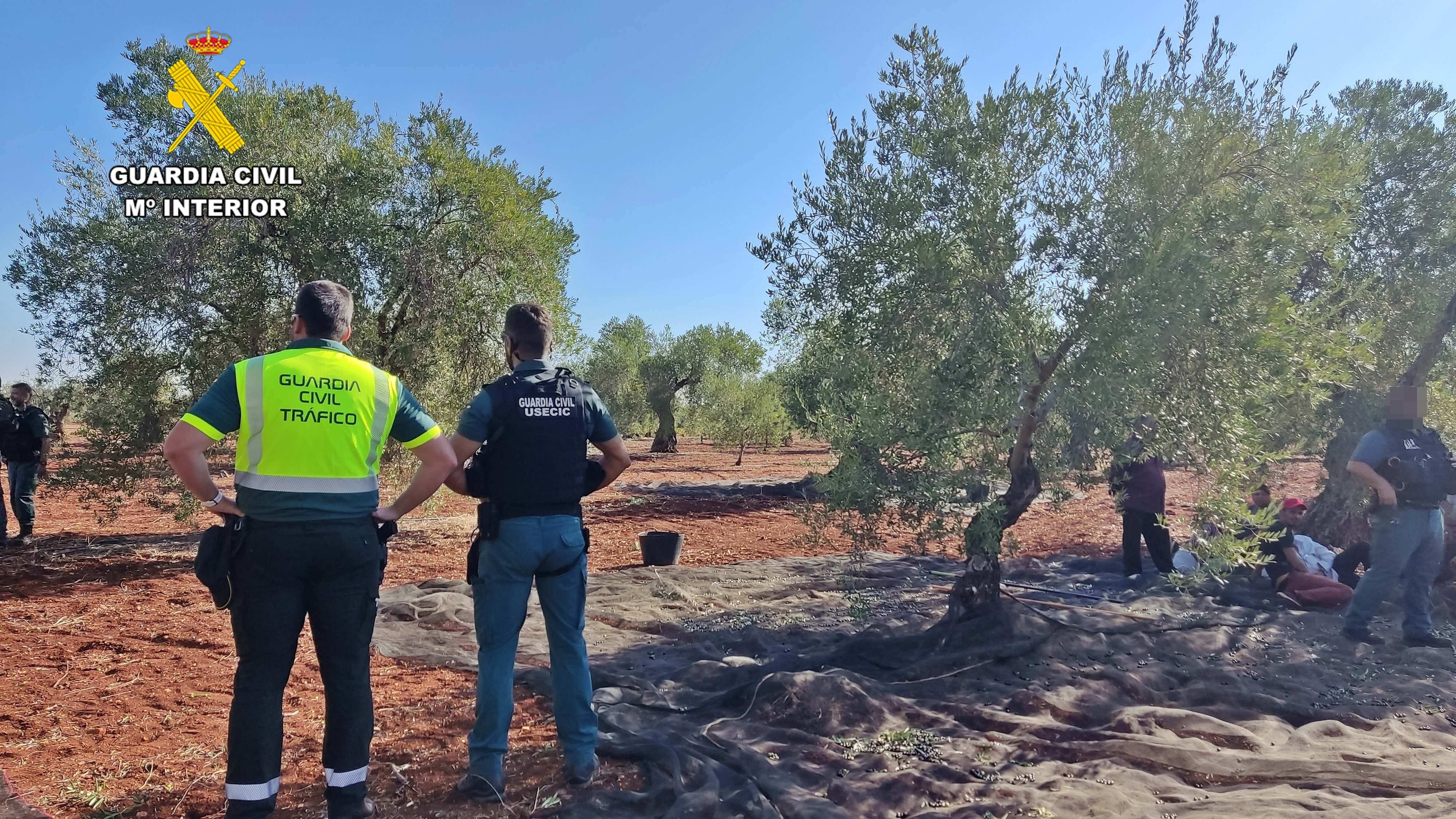 Inspección Guardia Civil explotación agrícola