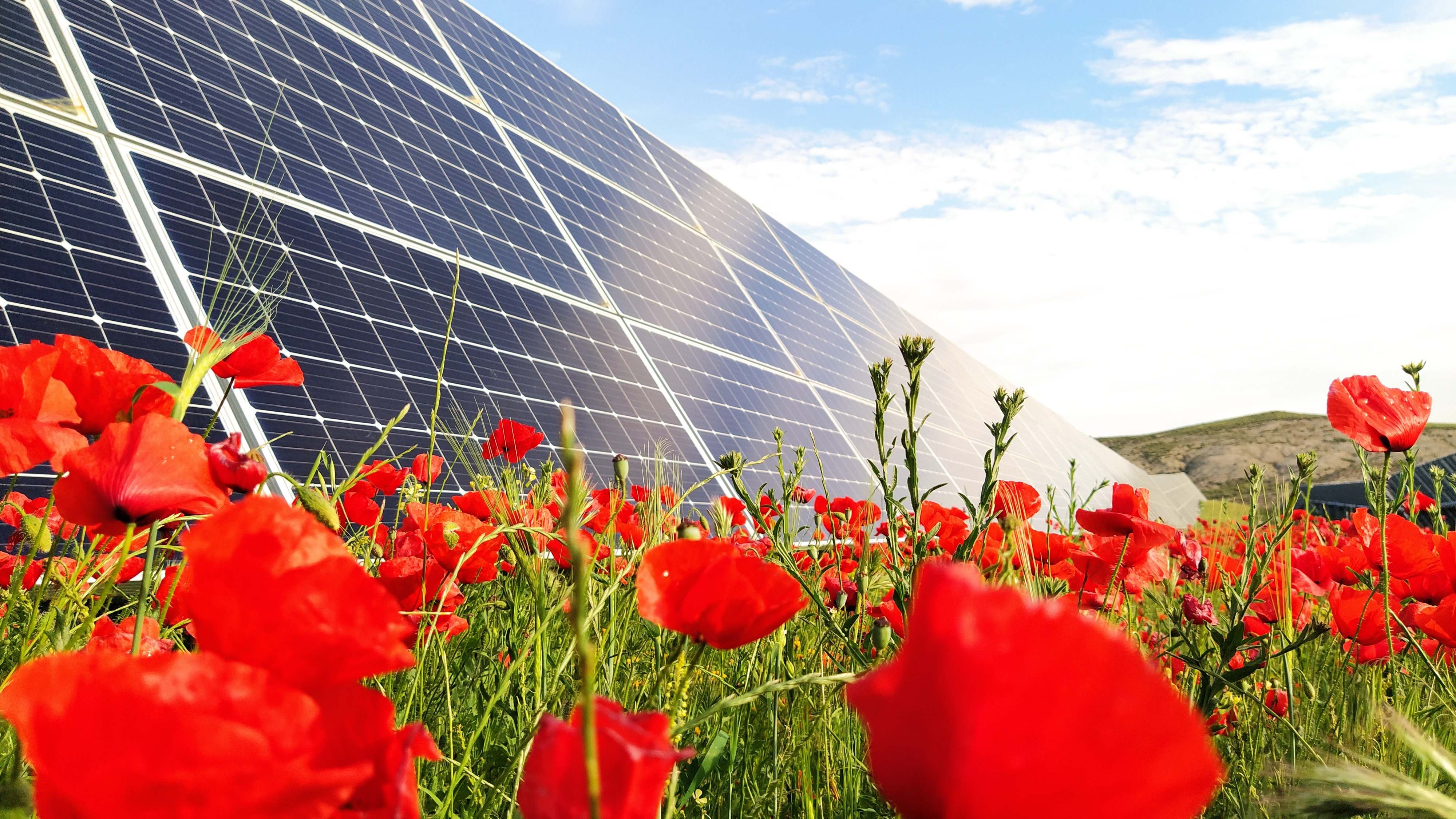 Parque solar.