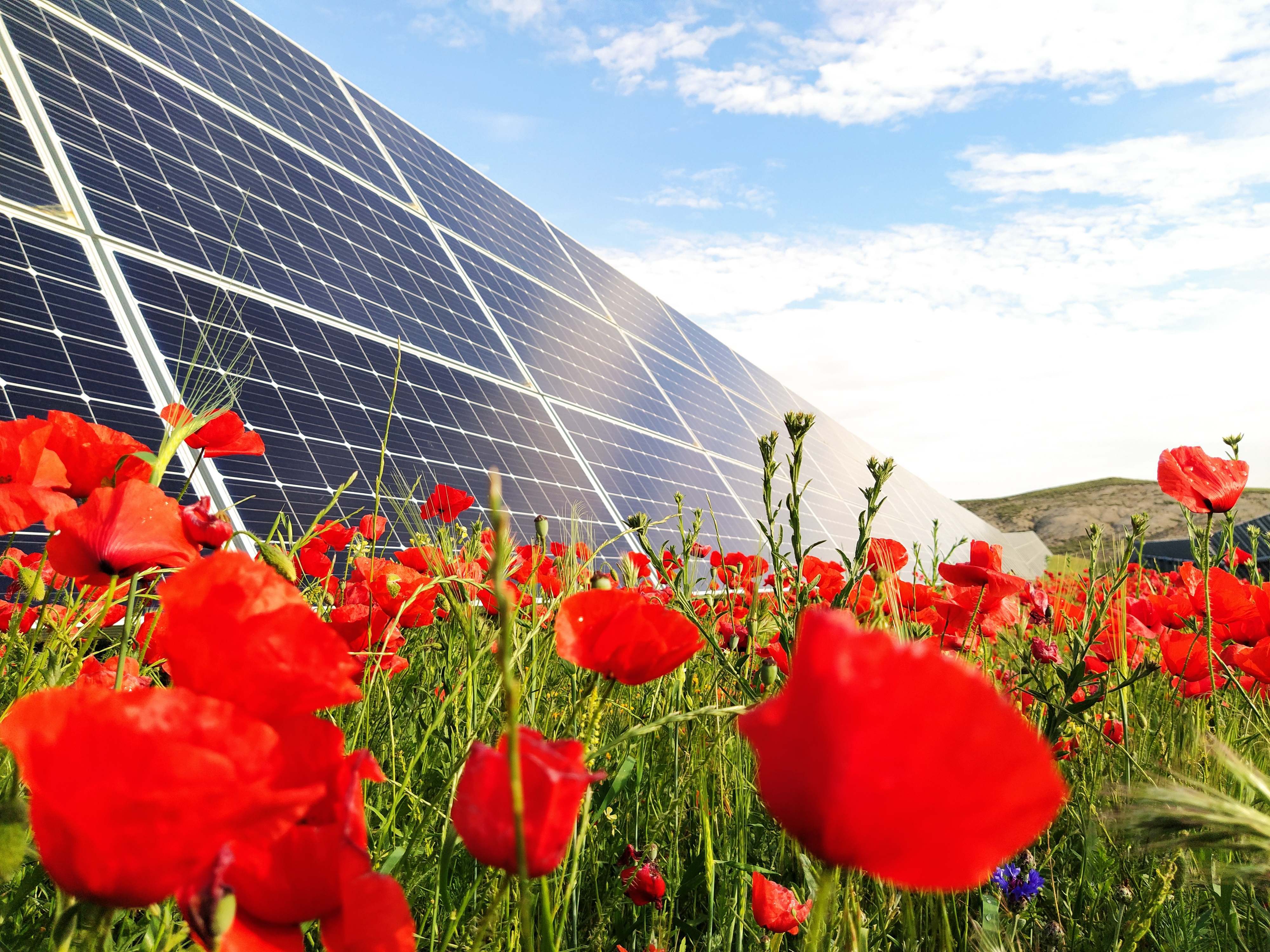 Una planta fotovoltaica. EUROPA PRESS