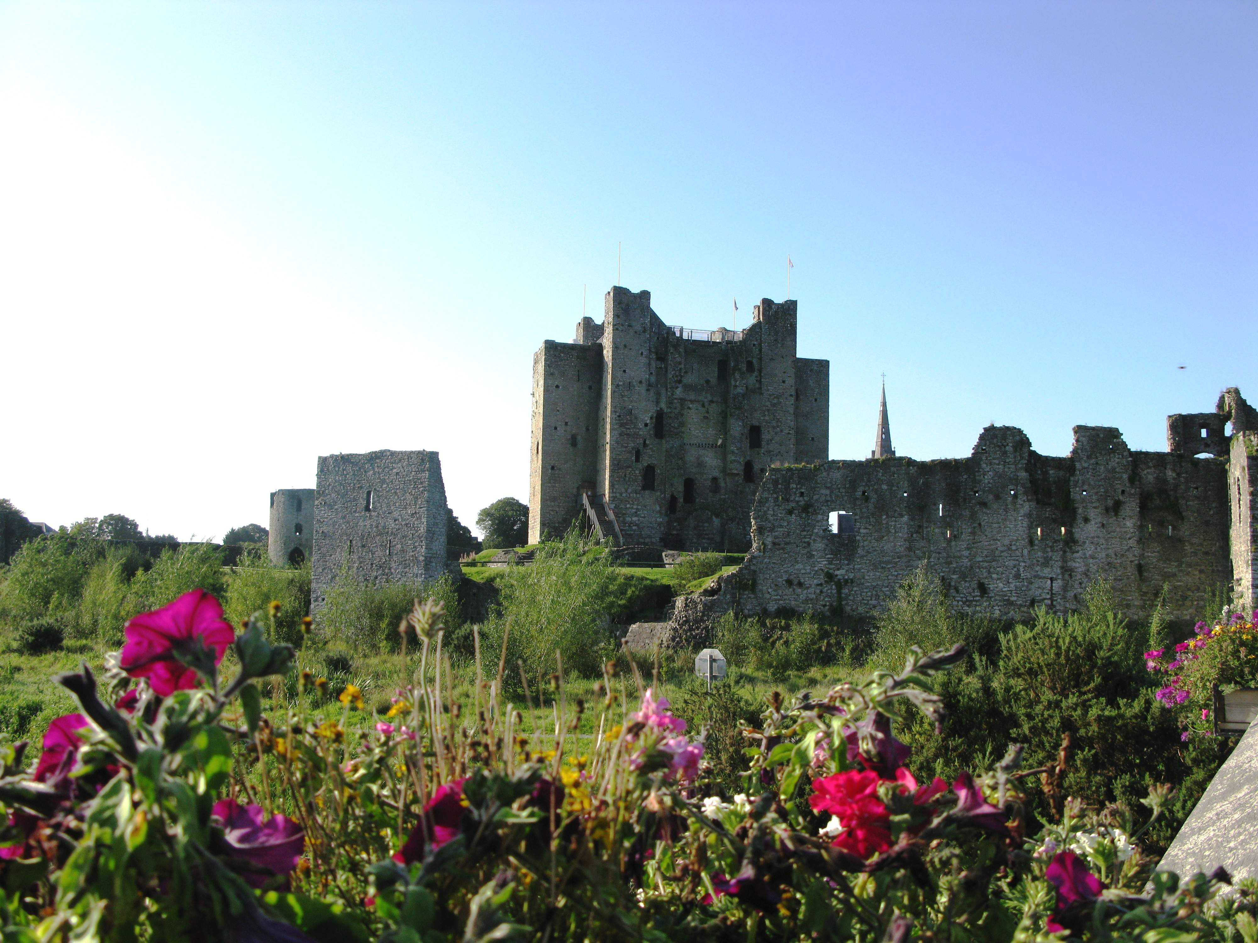 Trim-Castle-3.jpg