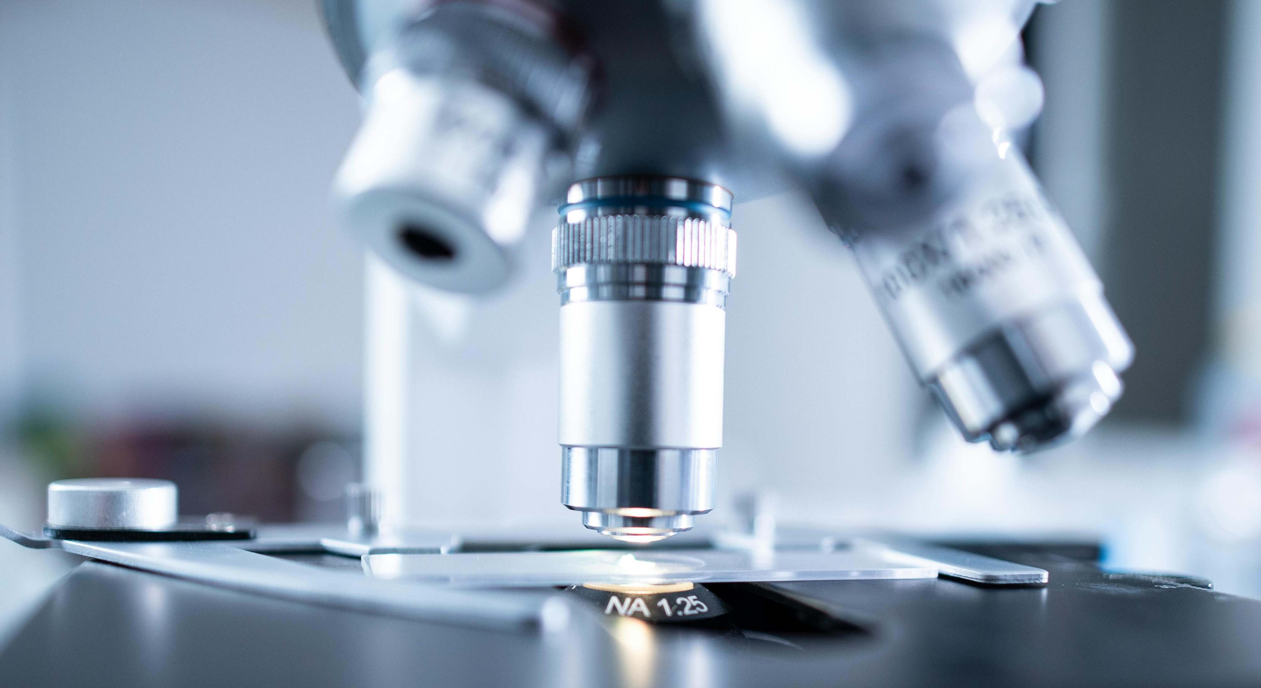 Las bacterias son organismos procariotas unicelulares