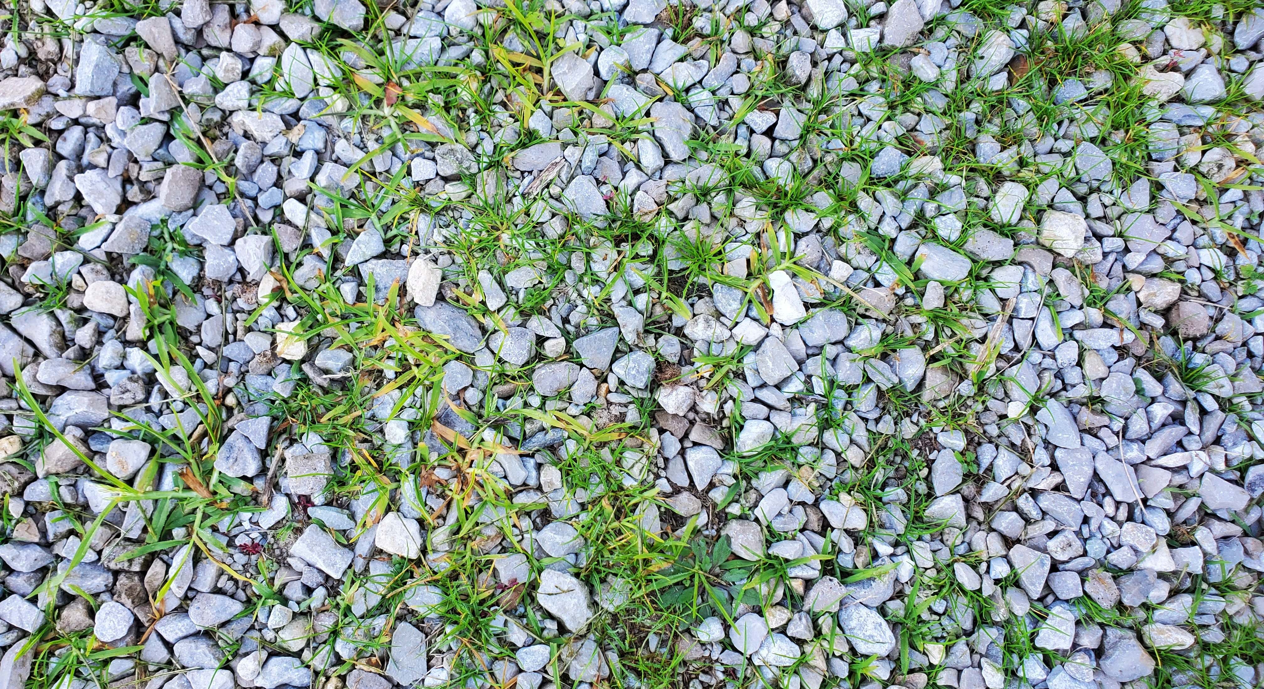 Suelo de grava con malas hierbas. / Foto: Dreamstime