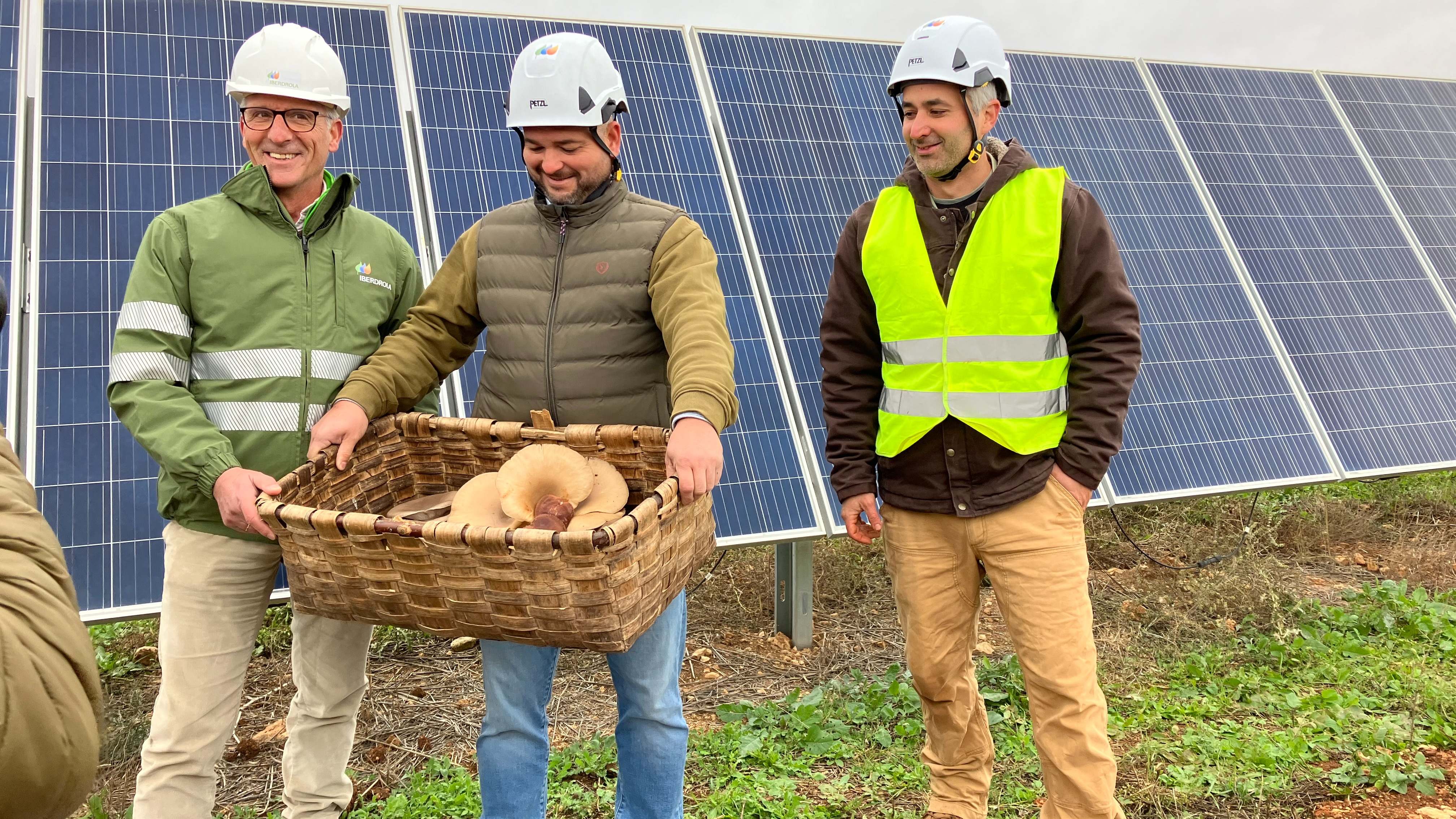 Tres personas tras una placa solar con una cesta llena de setas