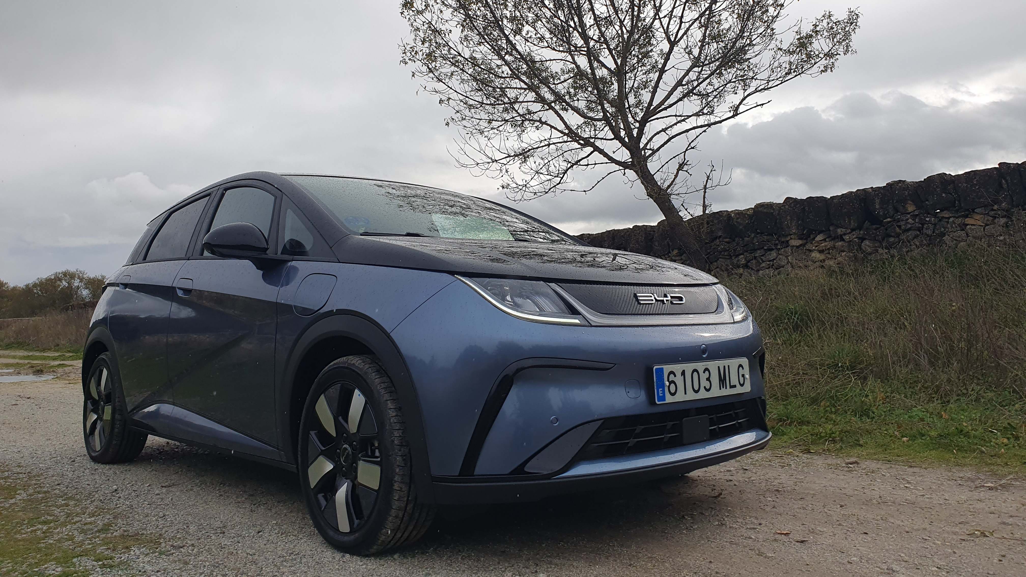 BYD Dolphin eléctrico chino venta