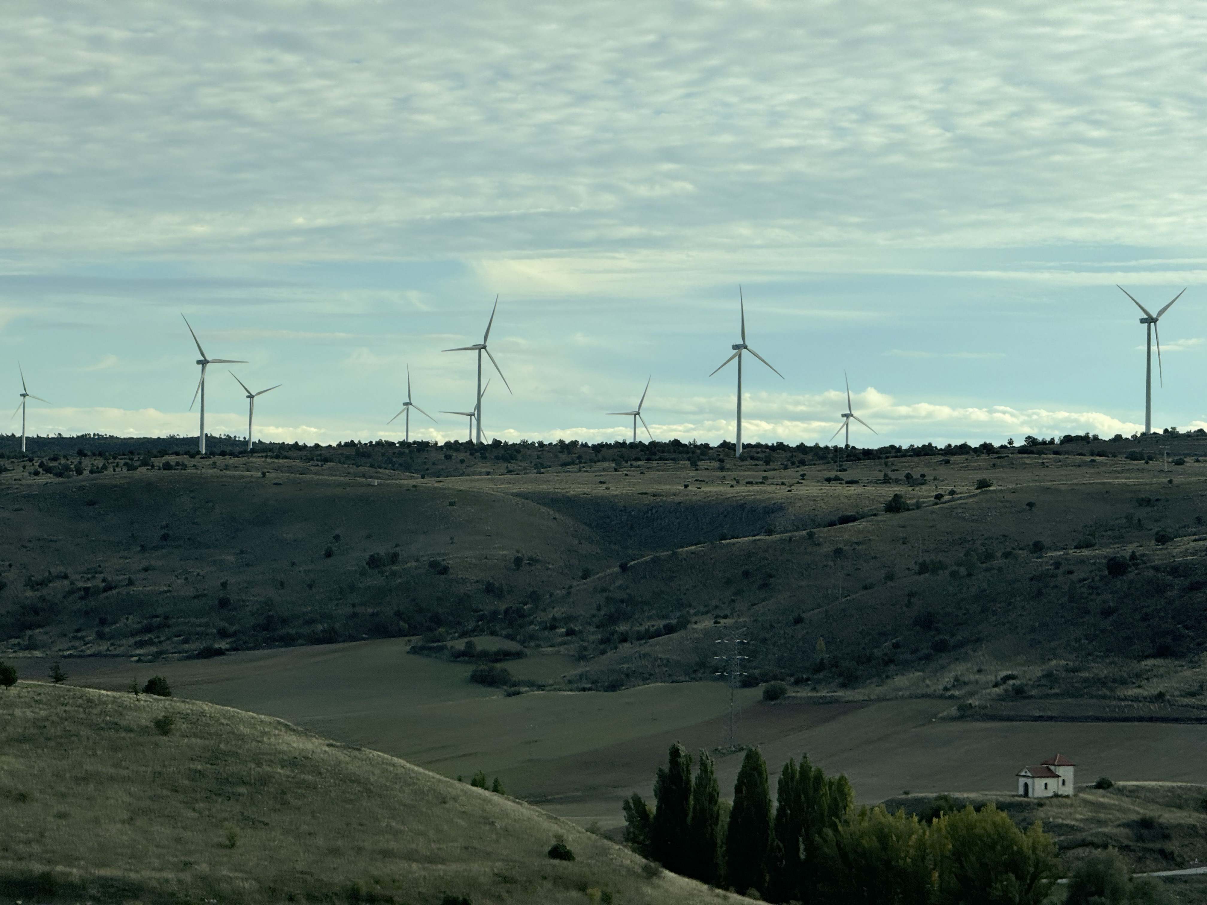 iberdrola_.jpg