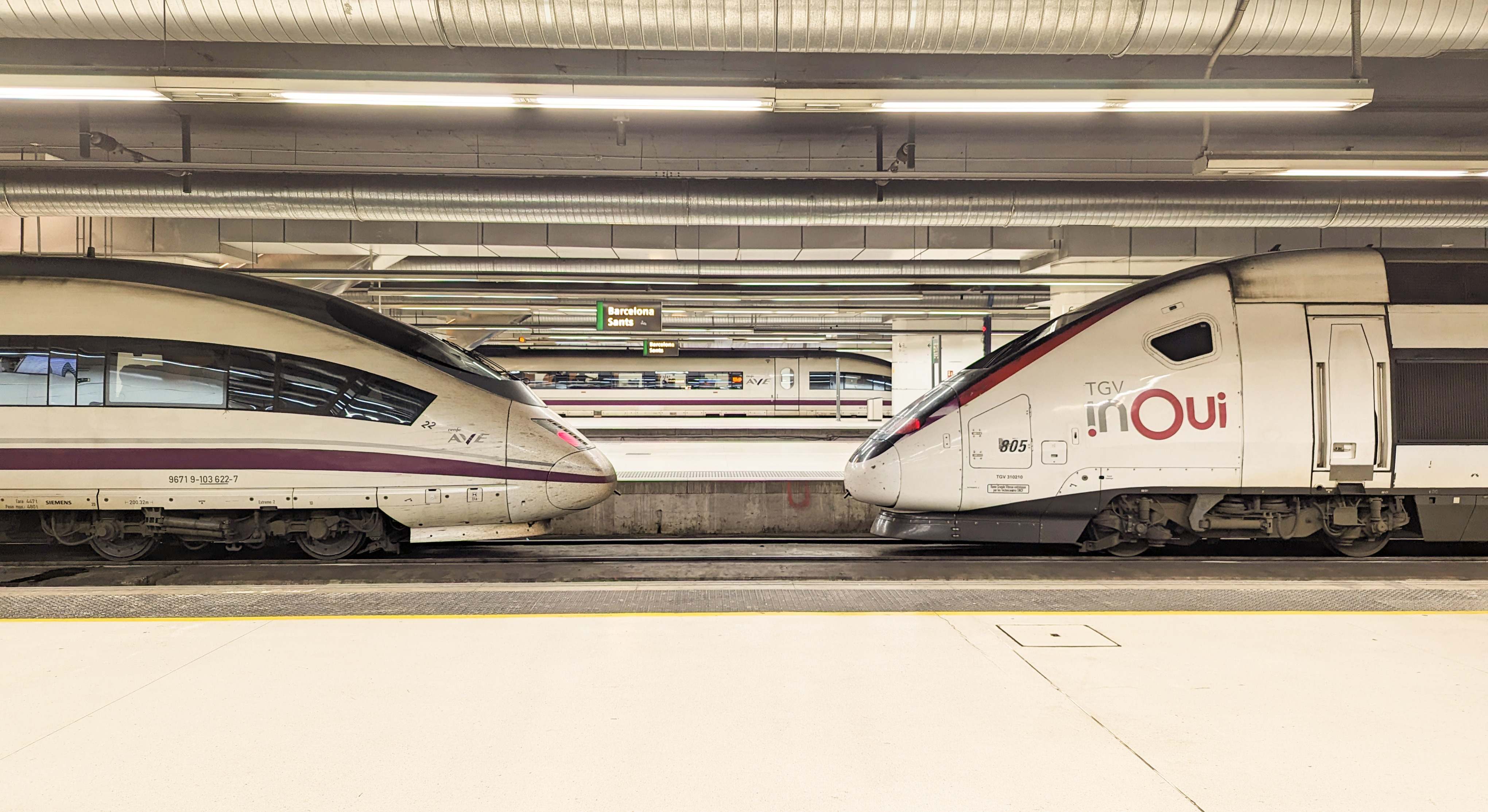Trenes de Ouigo y Renfe