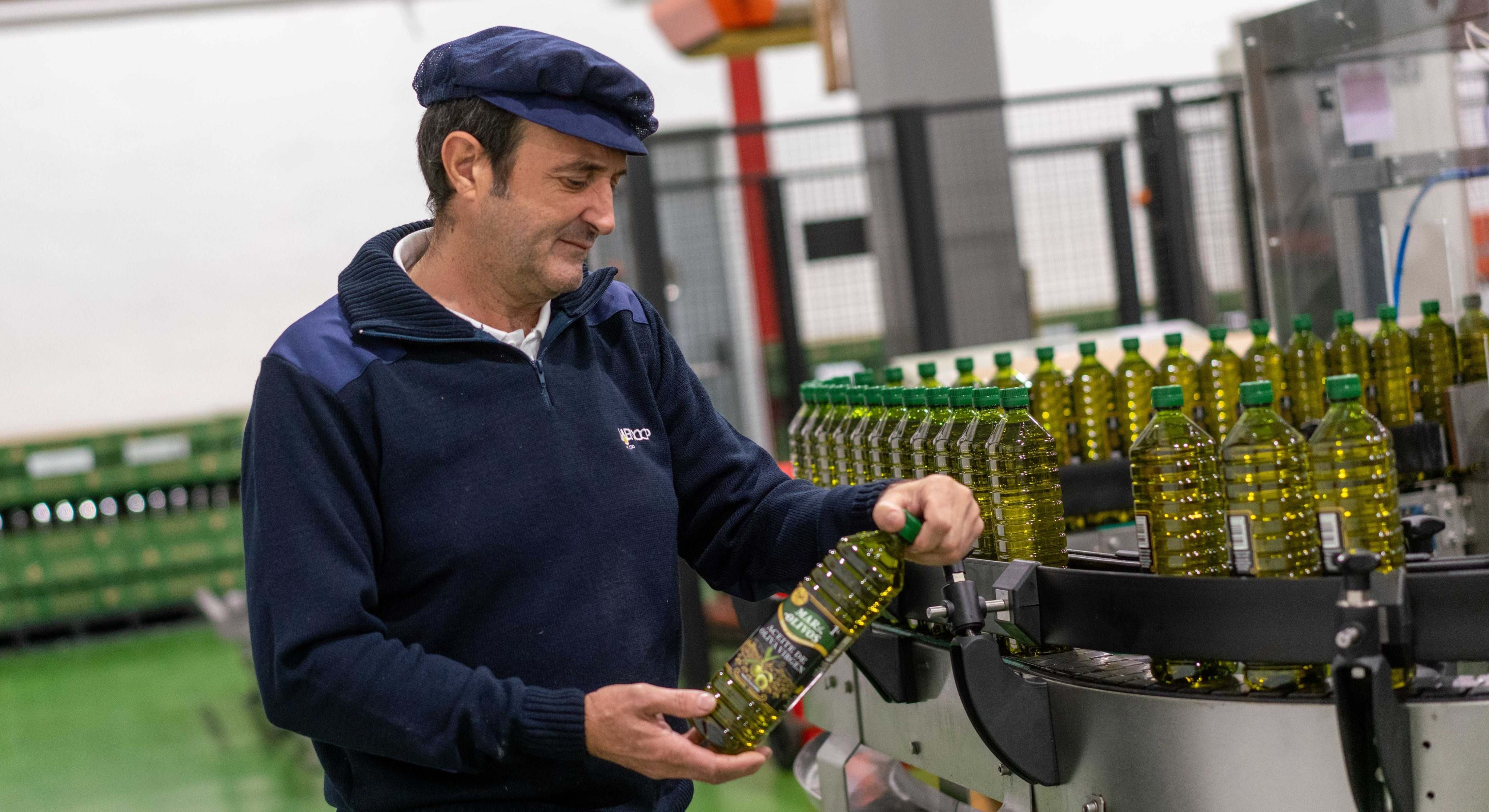 Envasadora de aceite del grupo Jaencoop.