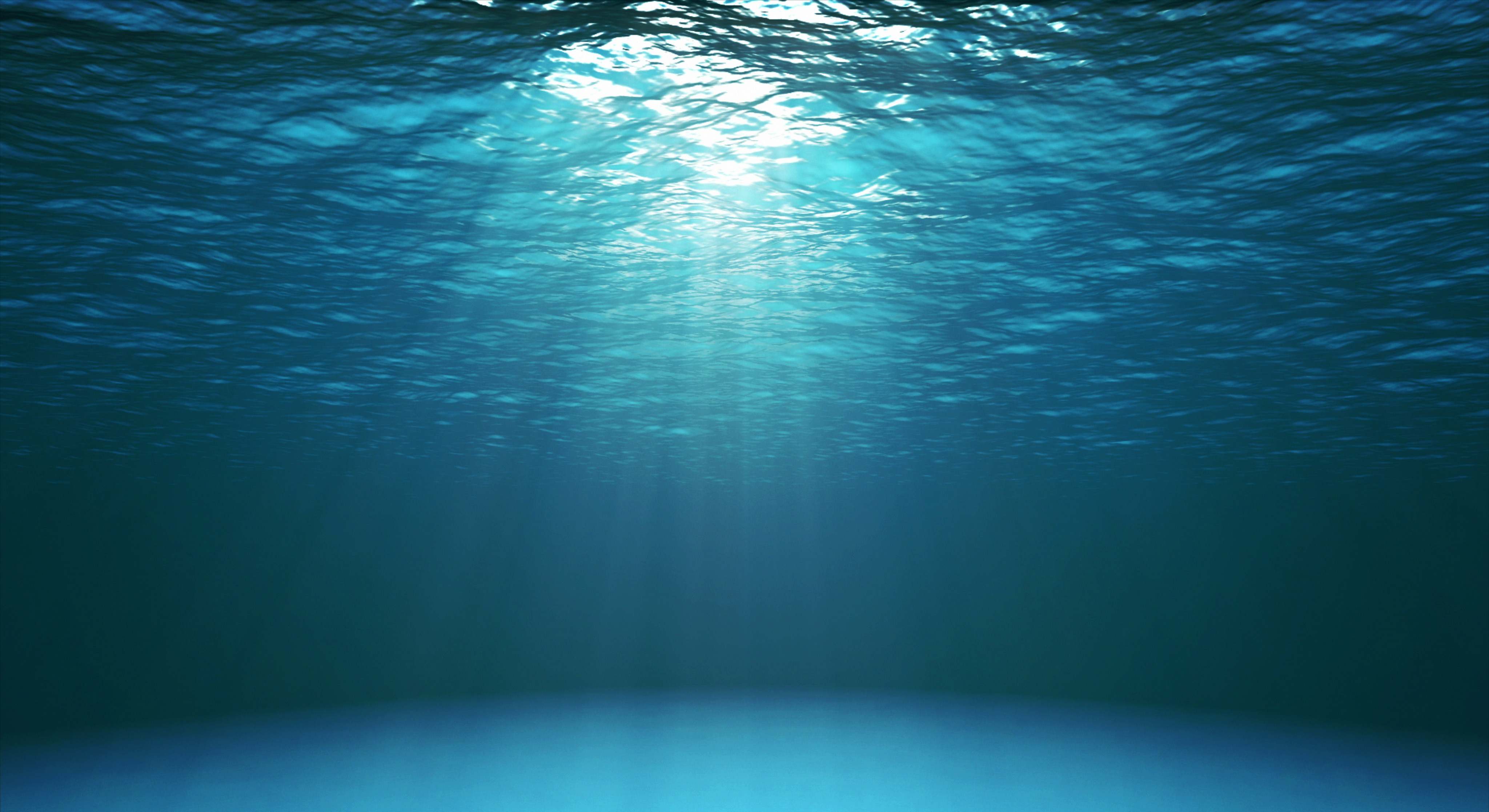Imagen bajo el agua - Océano. / Foto: iStock