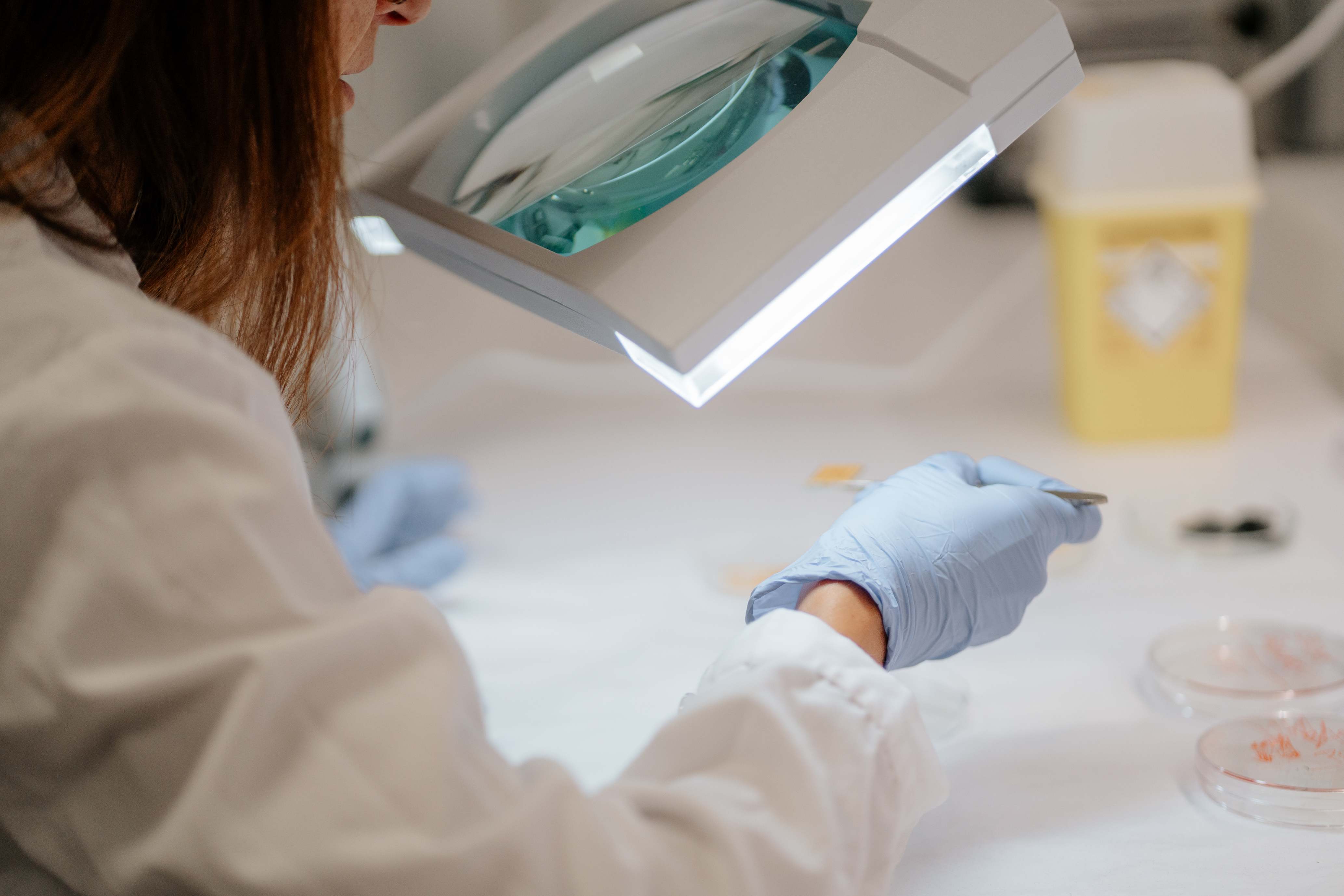 Laboratorio