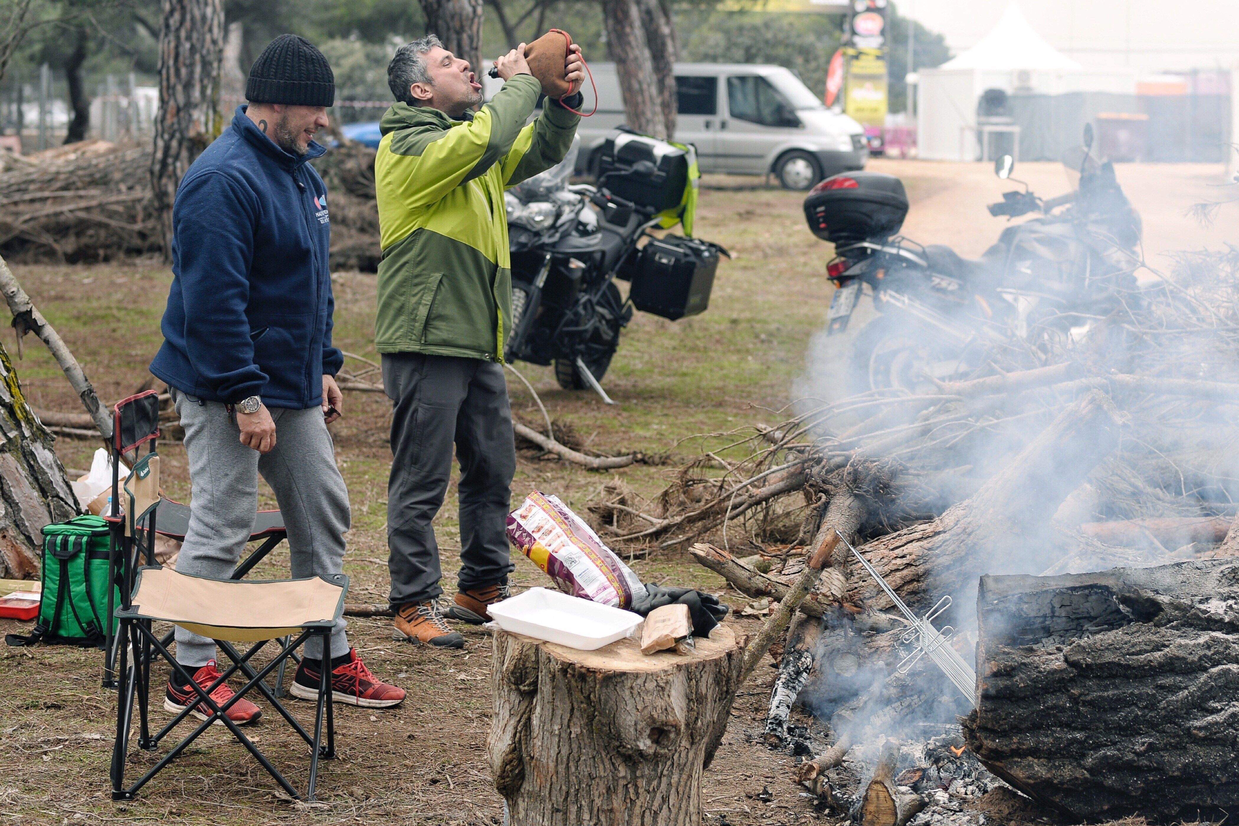 Pinguinos2019.jpg