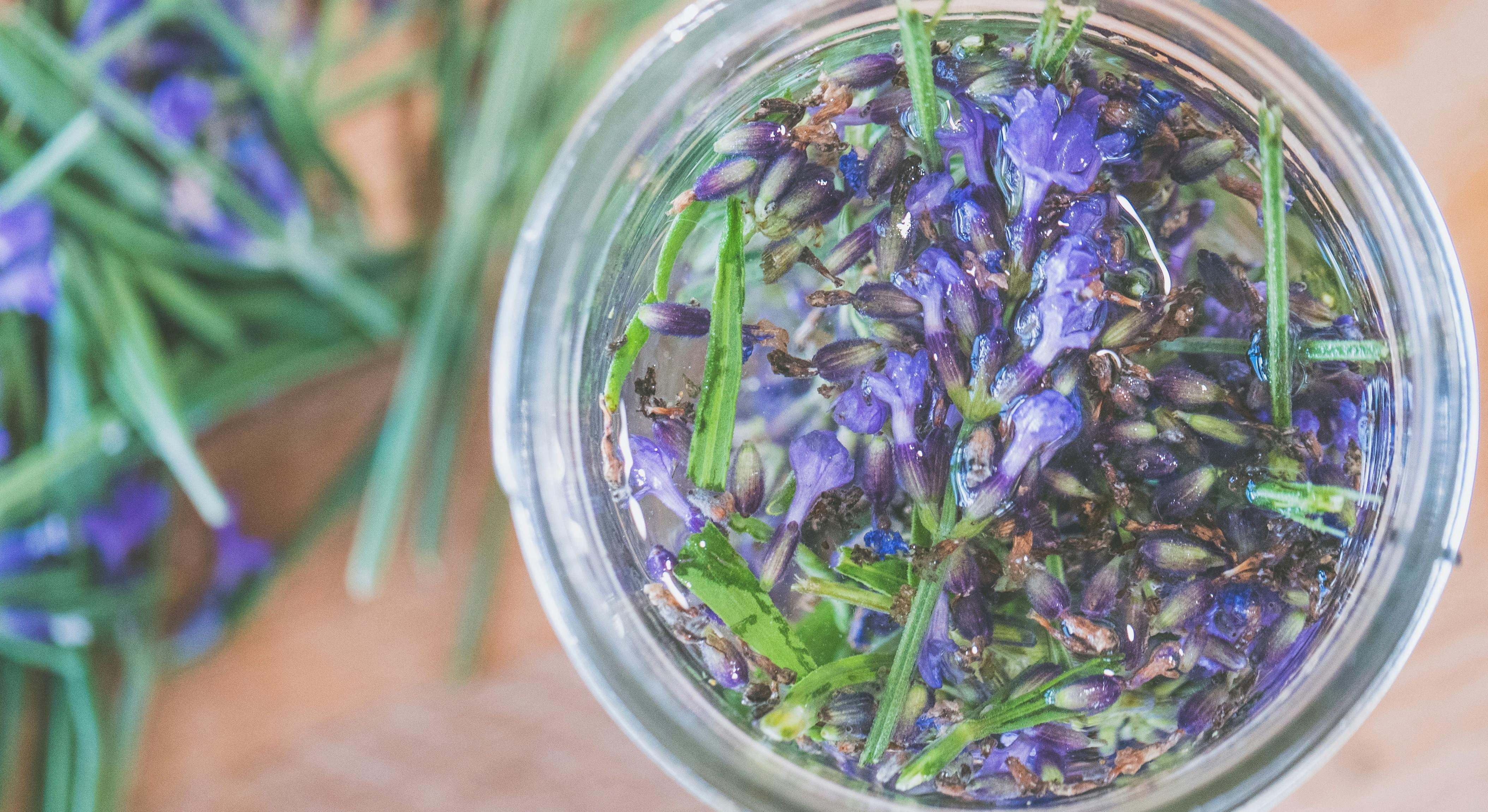 Infusión de lavanda