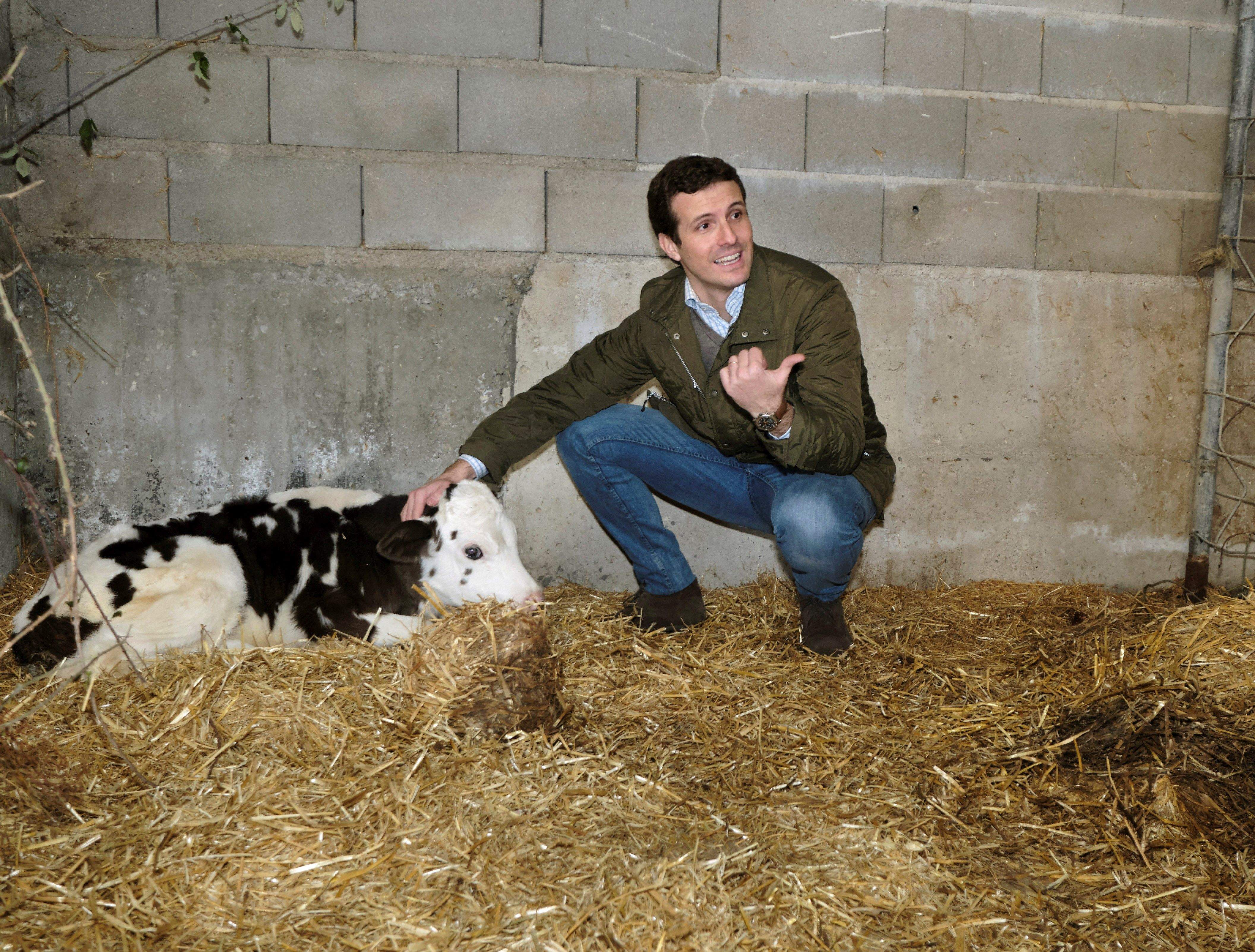 Casadovacas.jpg