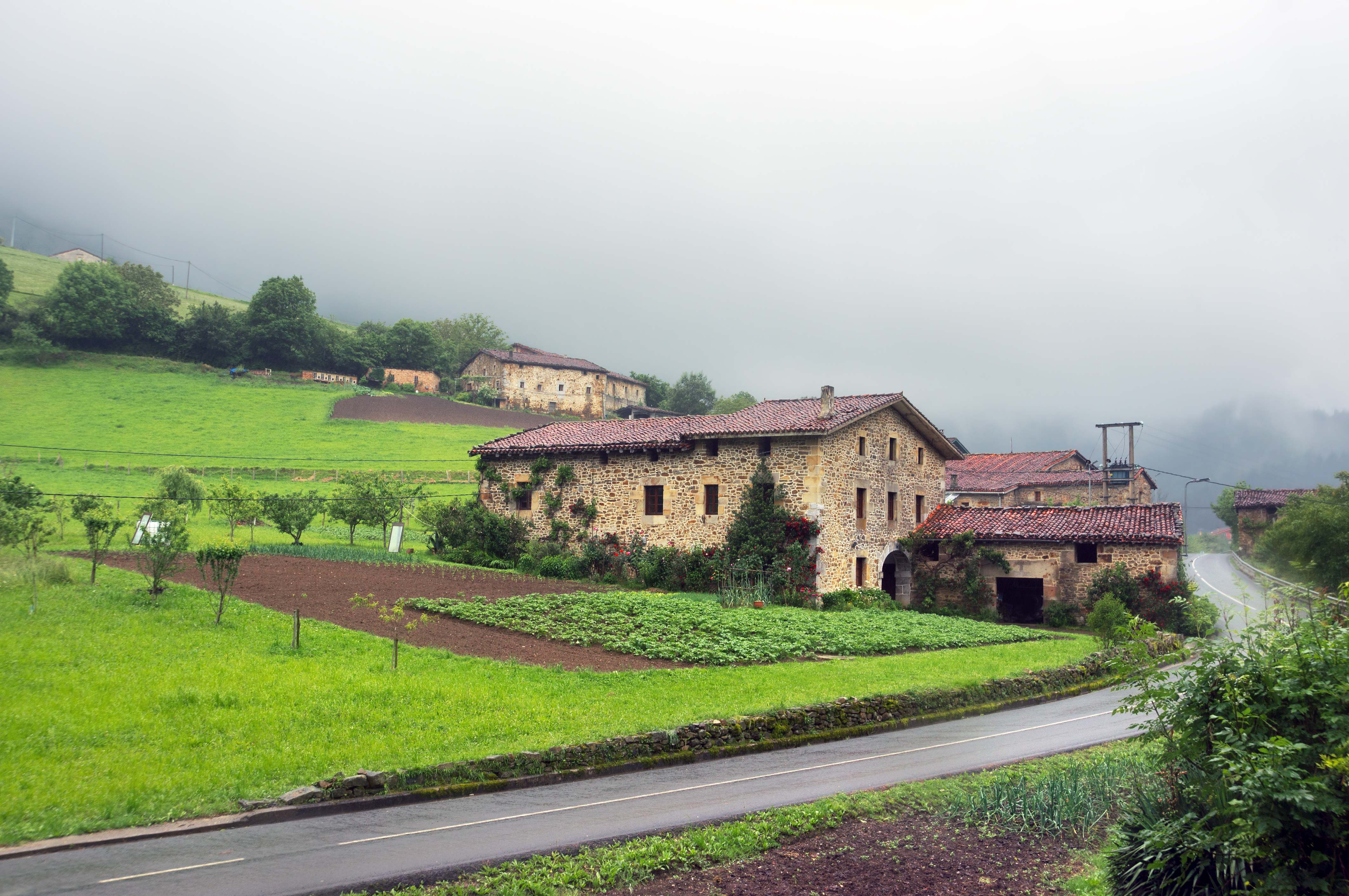 rural.jpg