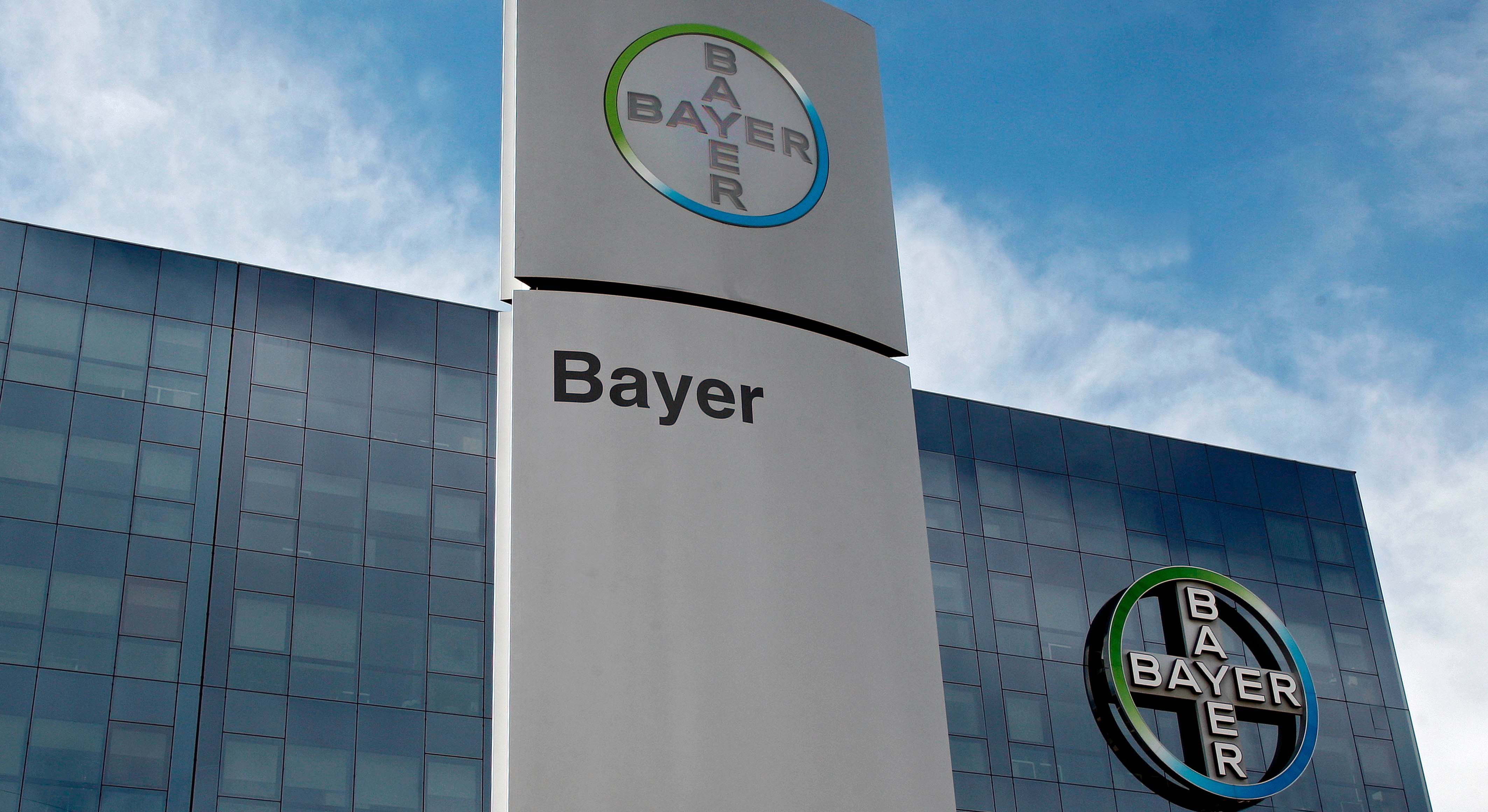 bayerbayer