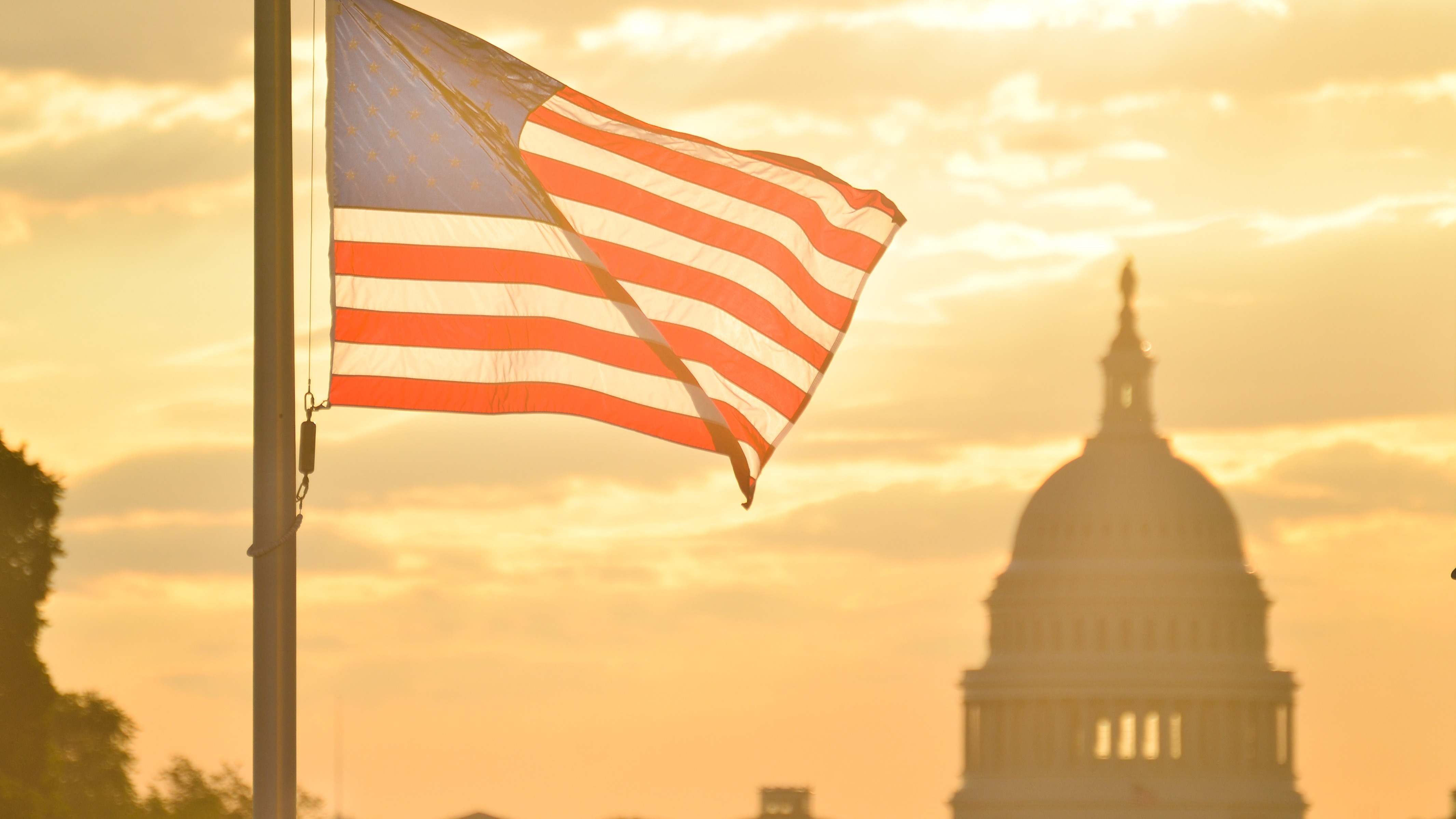 Bandera de EEUU en Washington (Dreamstime)