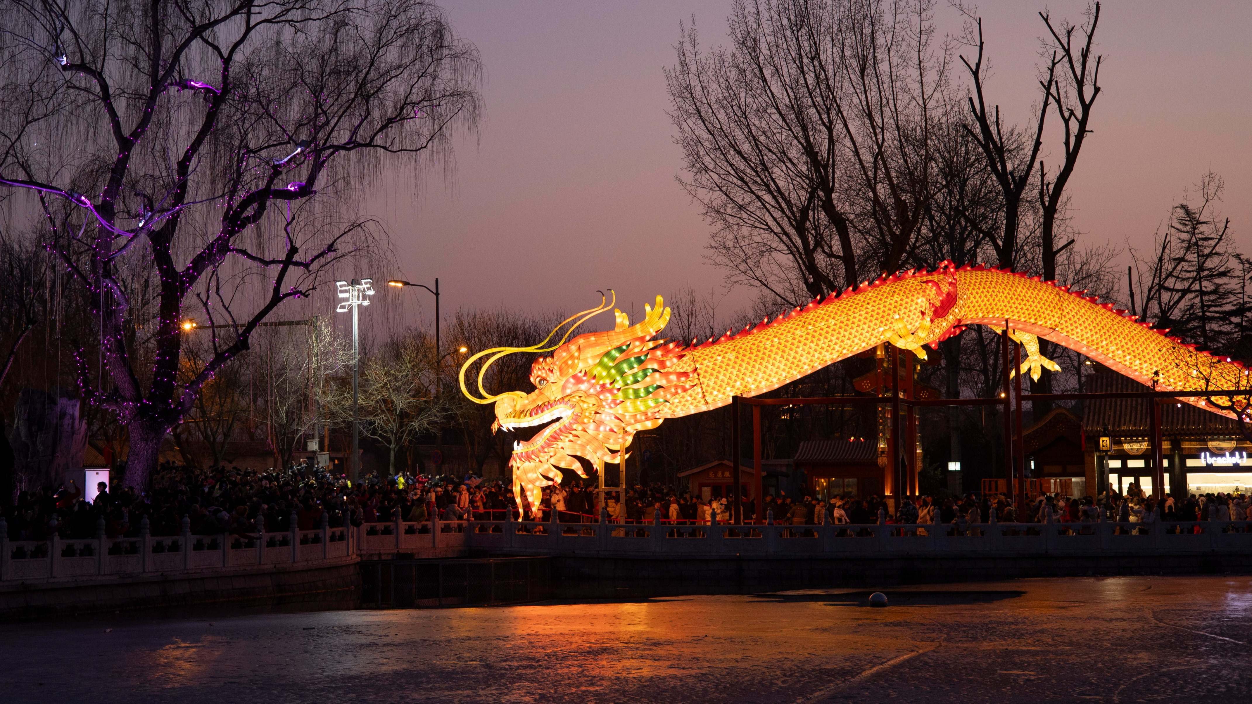 dragon-beijing-newyear-EFE.jpg