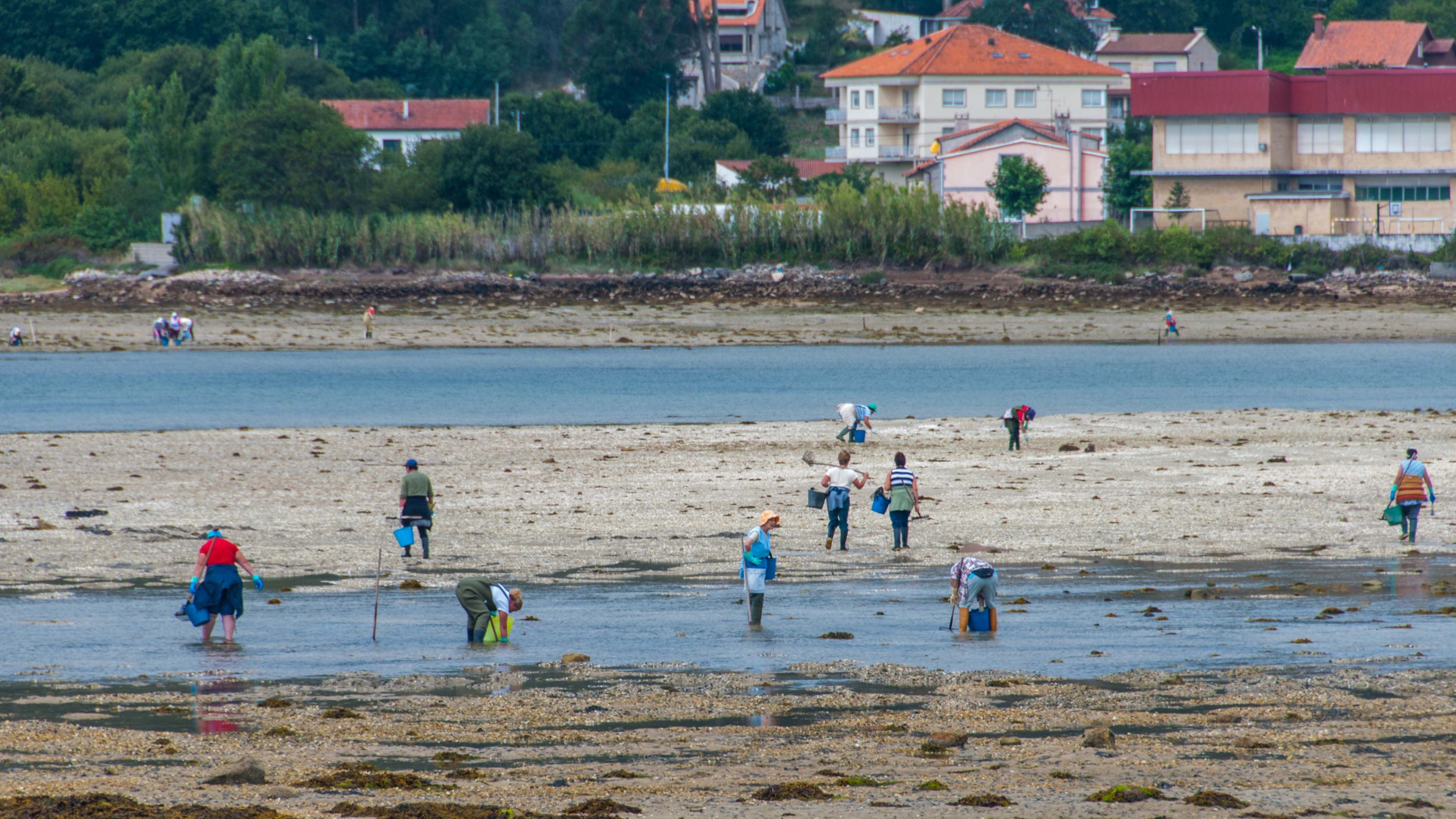 Mariscadores en Galicia