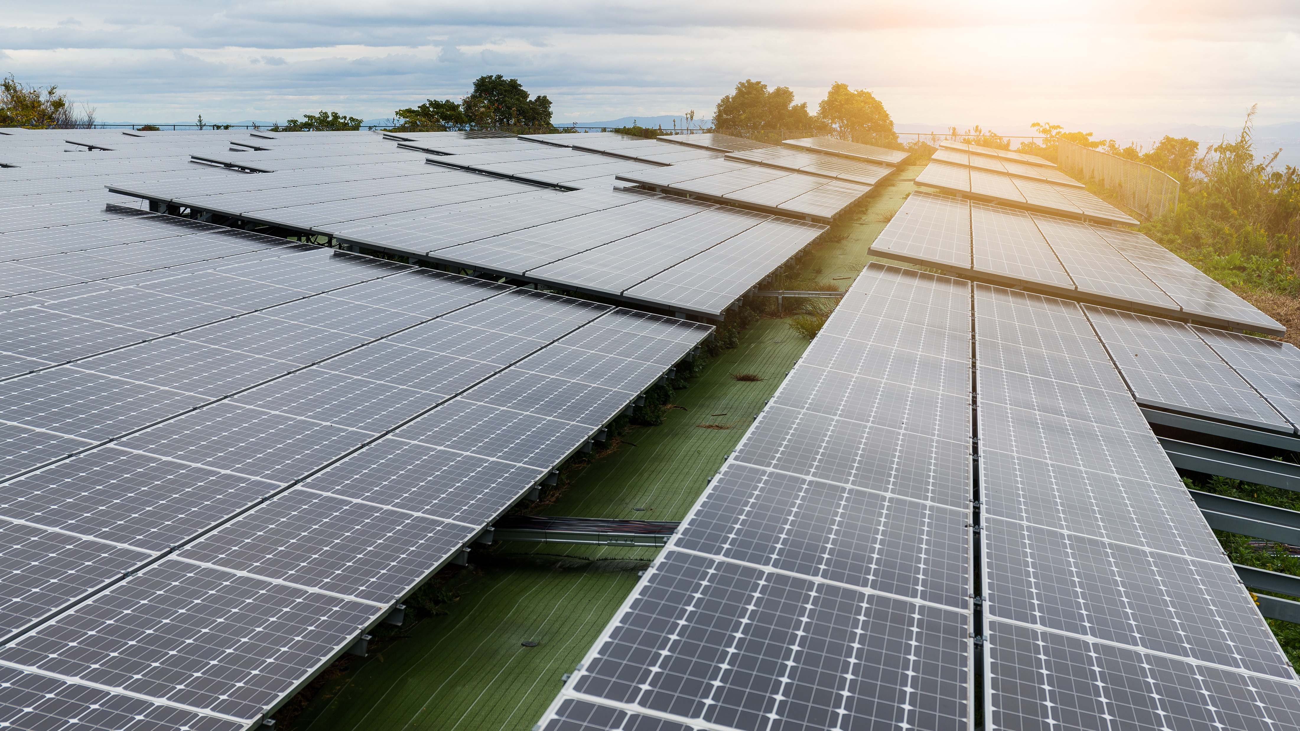 Planta solar fotovoltaica.