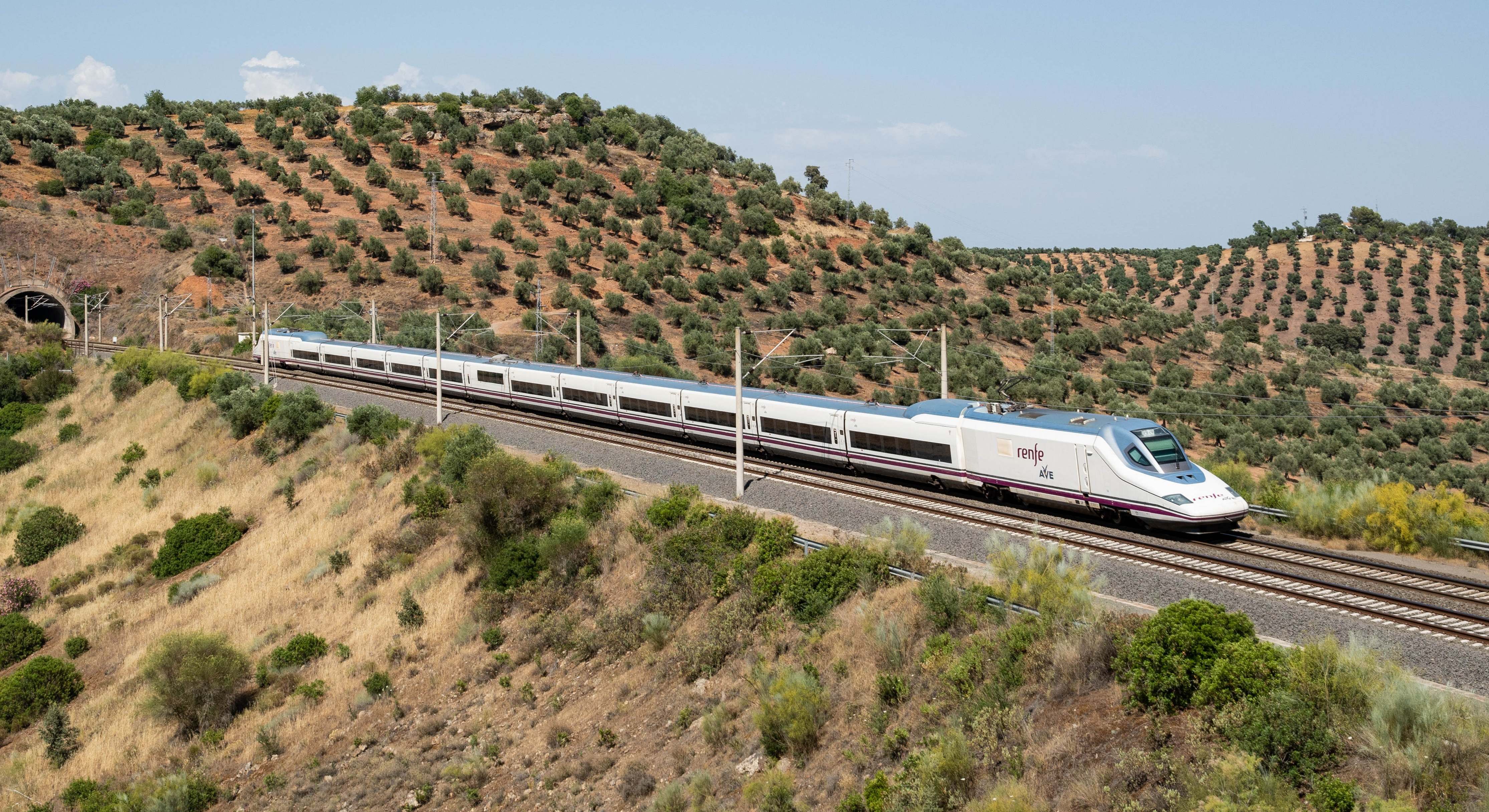 Tren AVE de Renfe circulando por Purroy (Zaragoza). / Foto: Cesare Sapienza