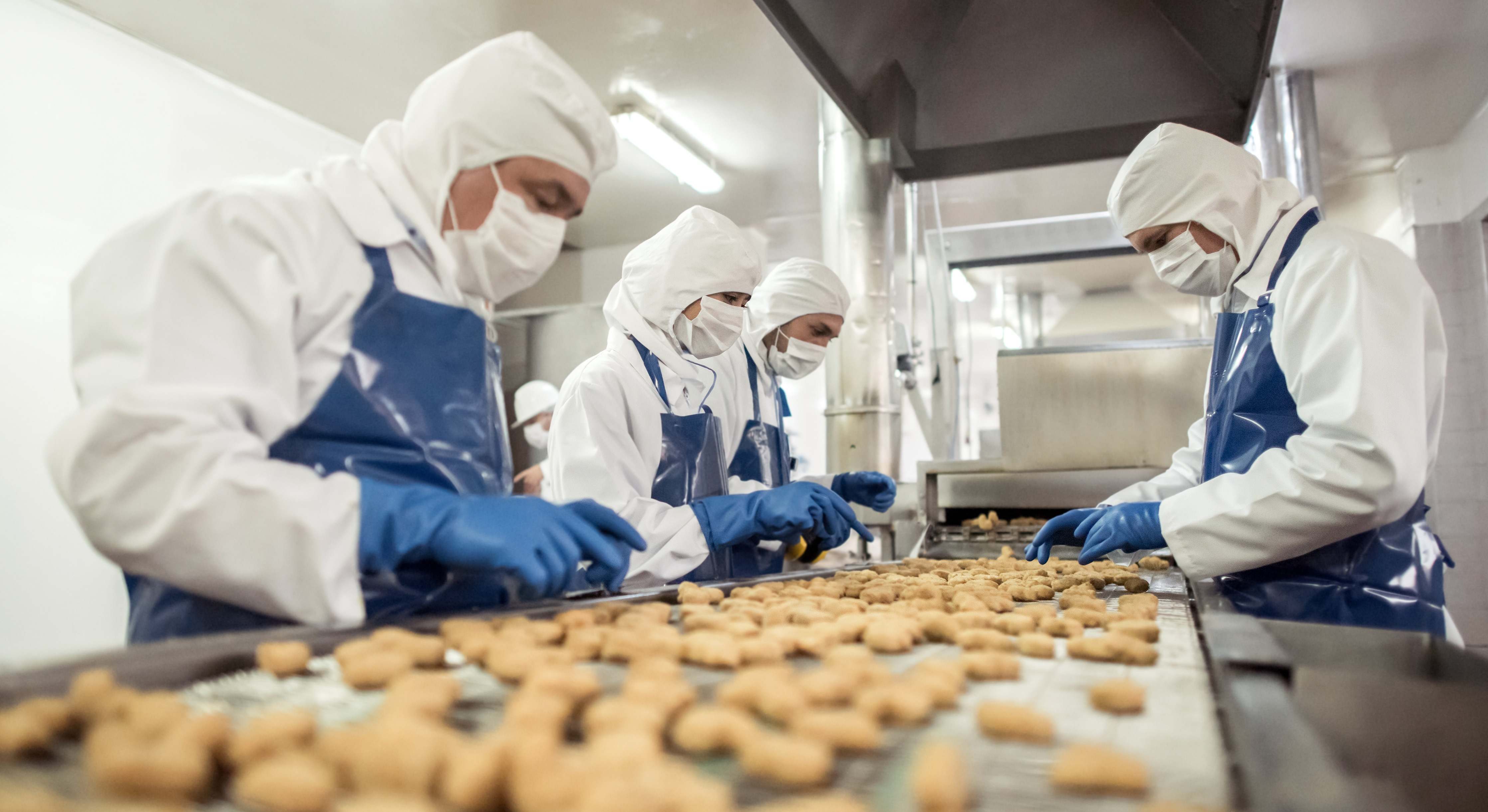Trabajadores del sector alimentario. / Foto: iStock